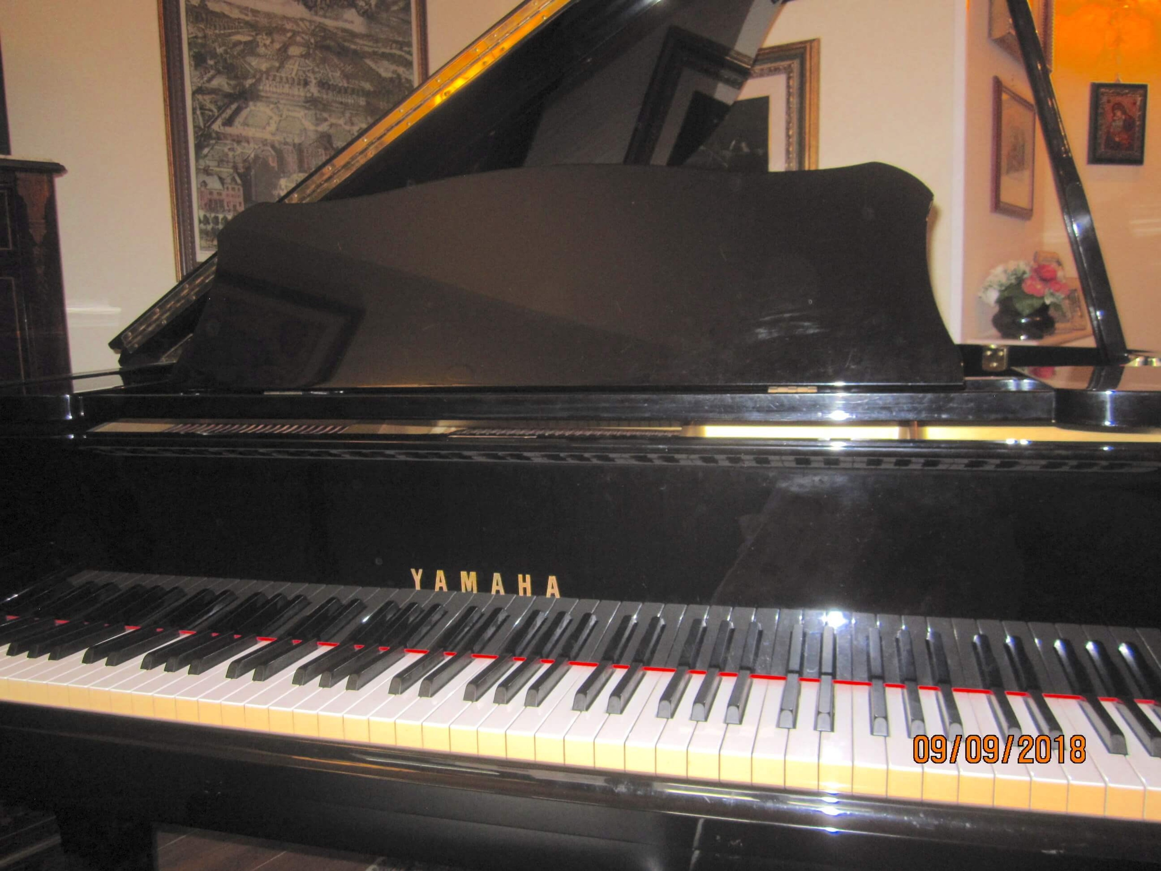Beautiful Yamaha grand piano in bright room — photo 4