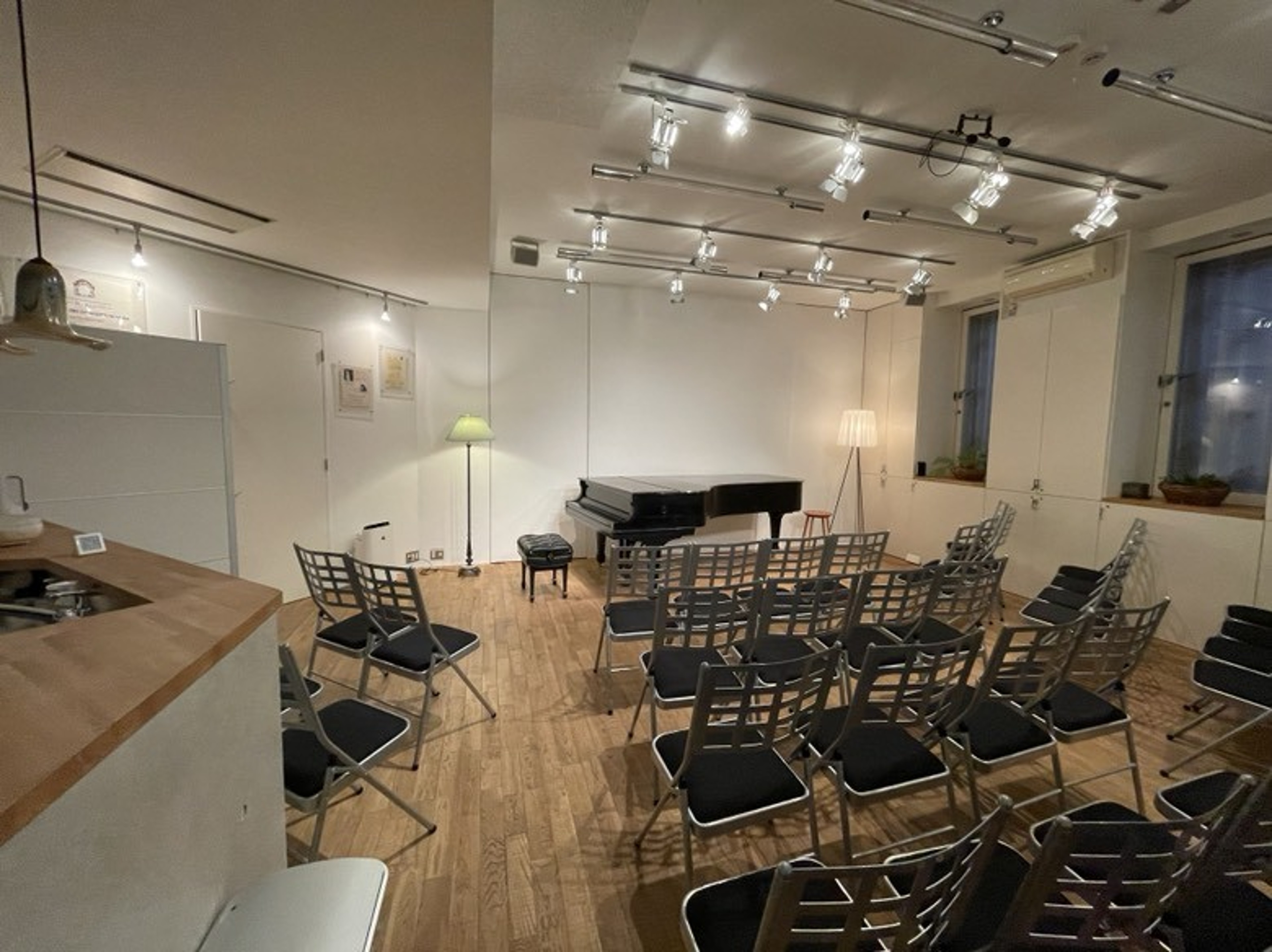 Excellent Music Salon with NY Steinway Model D — 写真4