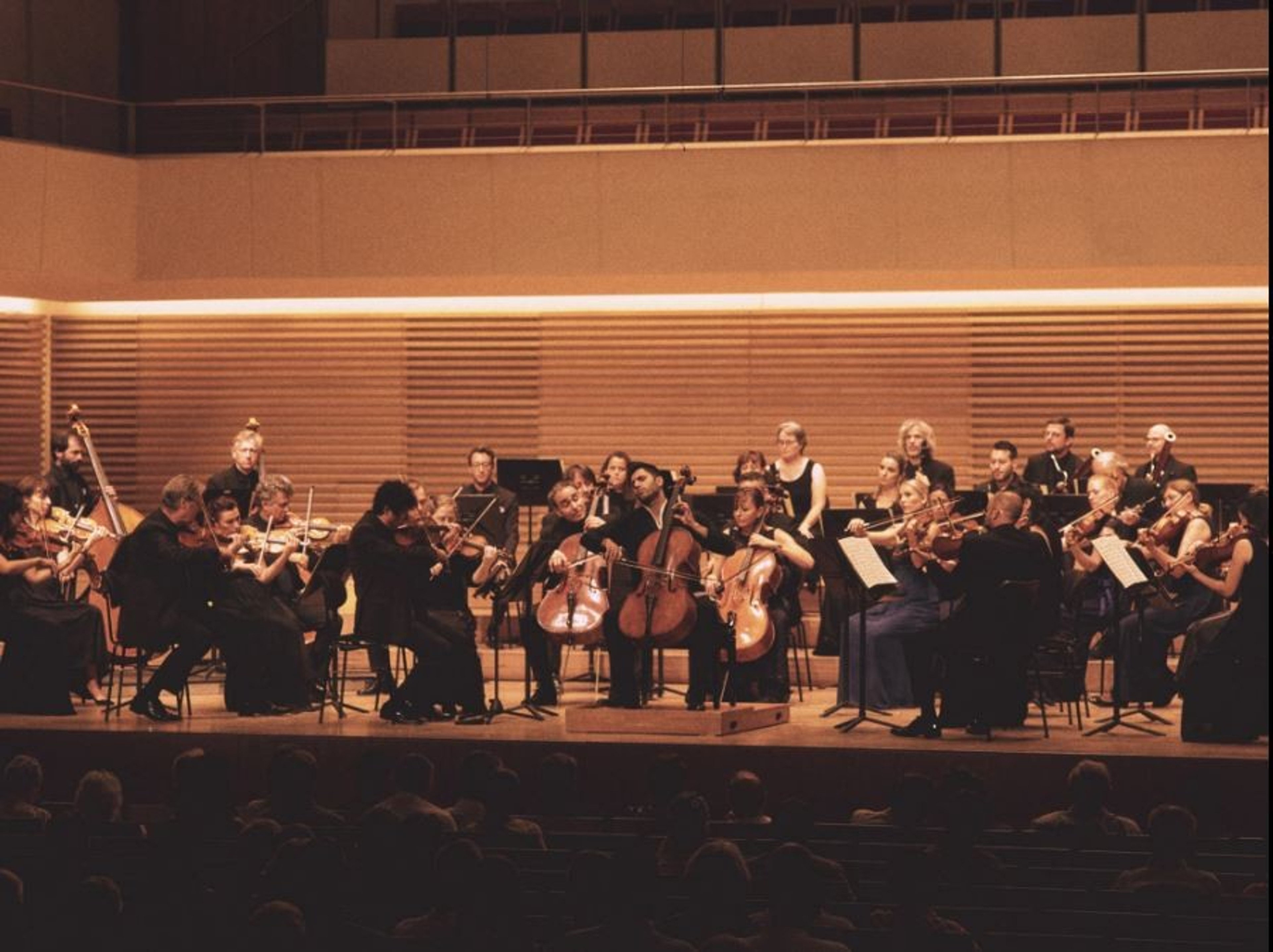 Majestic Auditorium for Concerts and Performances — 写真5