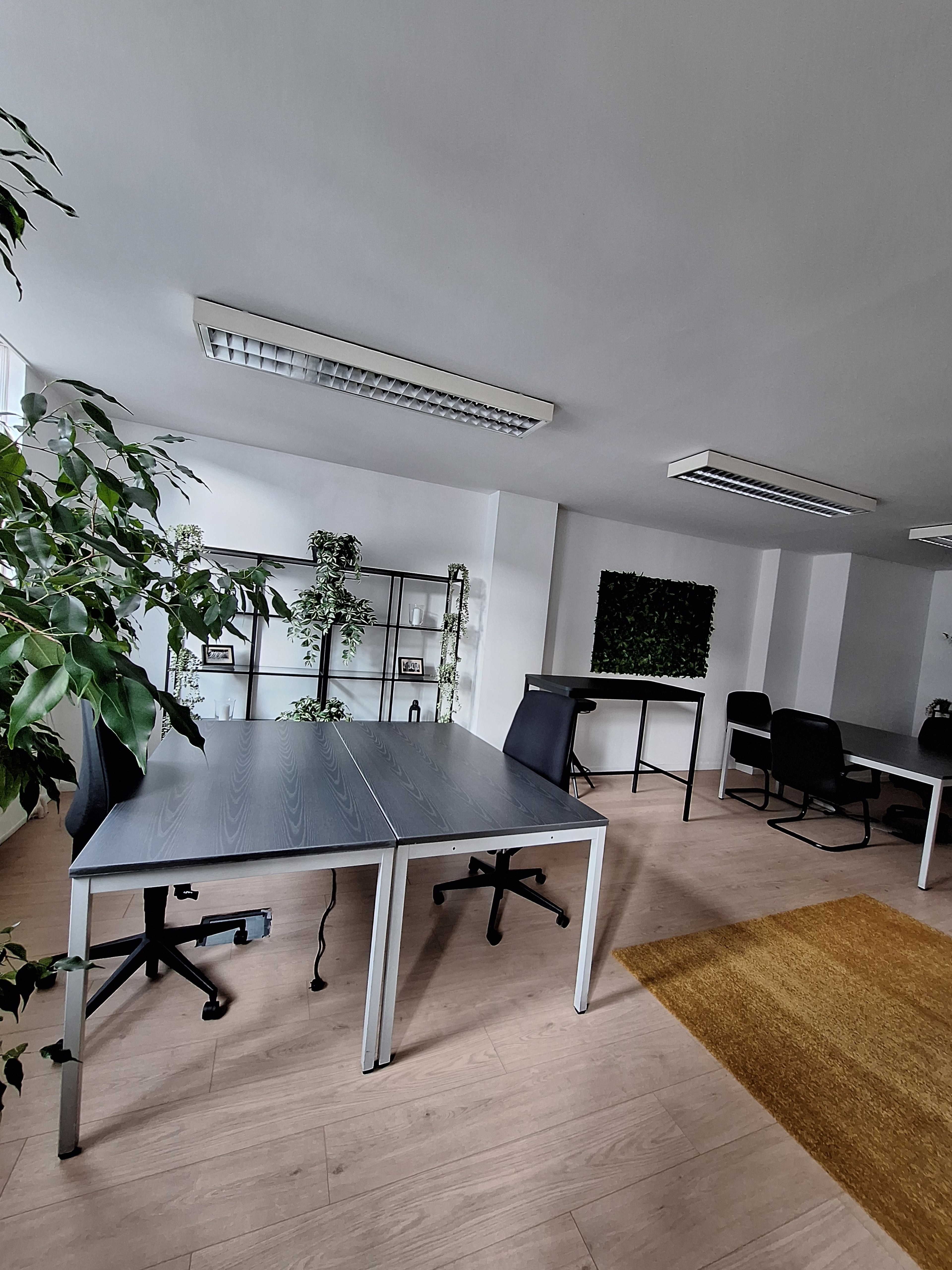 Bright Open Coworking Space with Hints of Green — 写真4