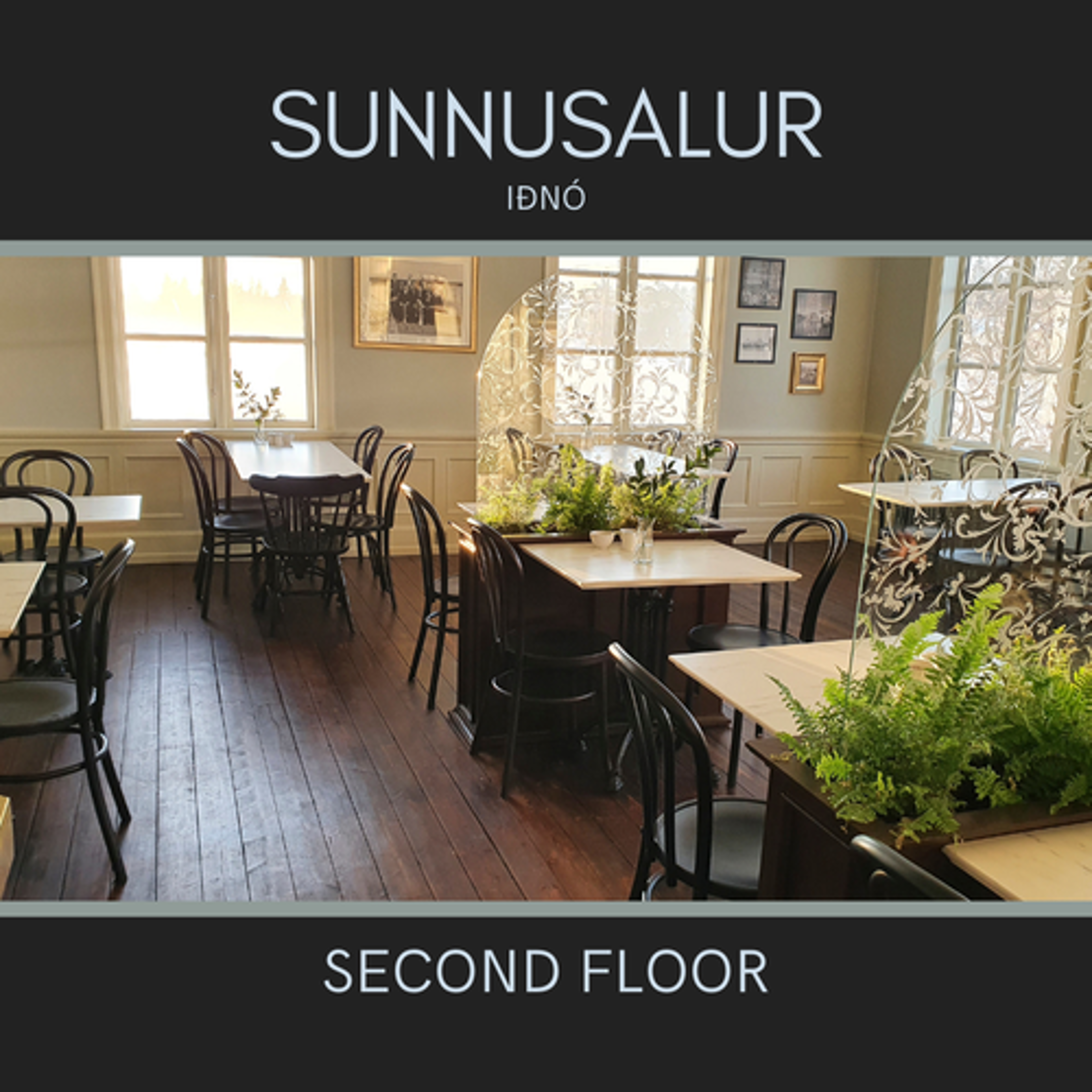 Iðnó Culture House - Small Hall (Sunhall) — 写真3