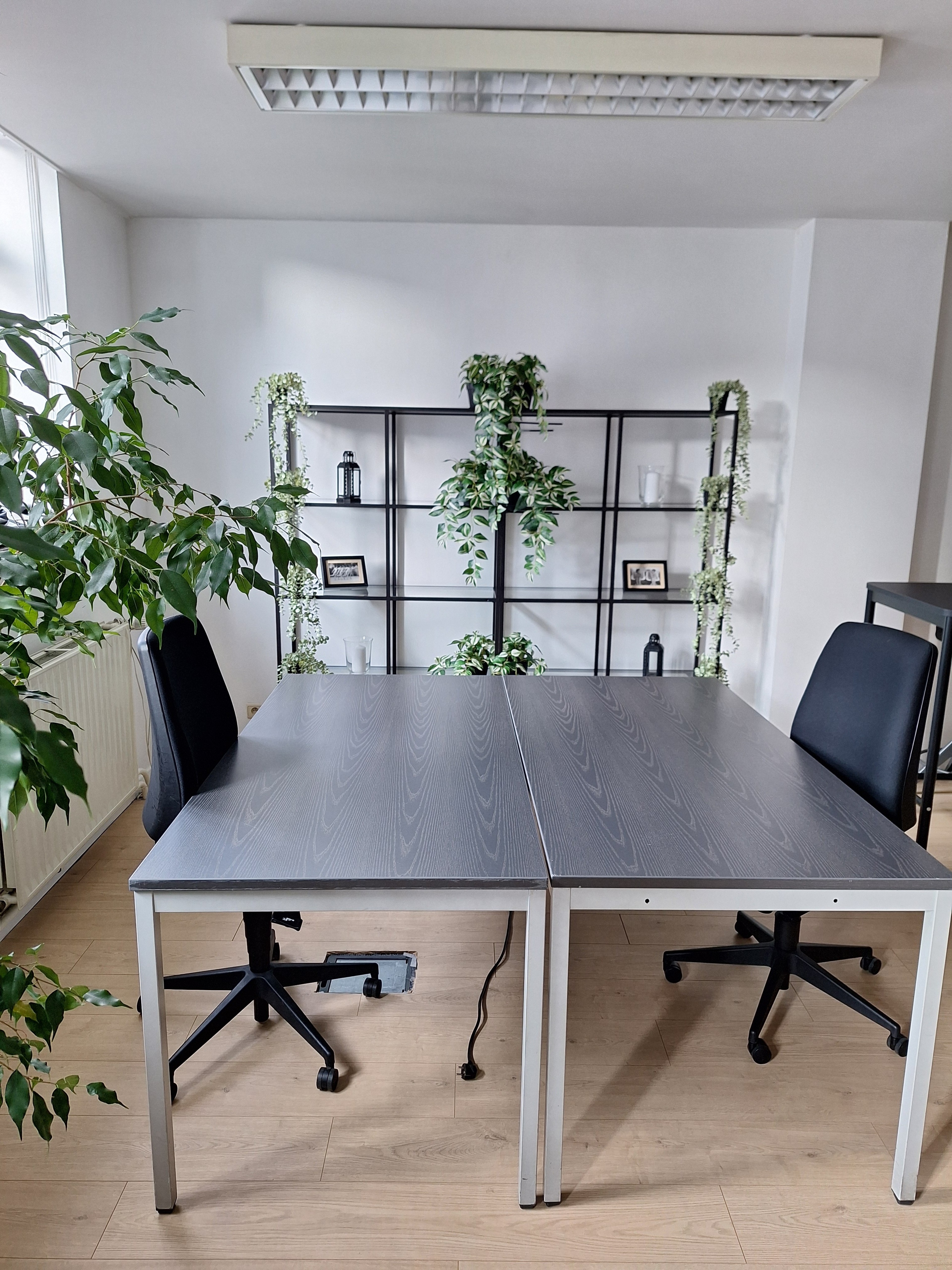 Bright Open Coworking Space with Hints of Green — 写真5