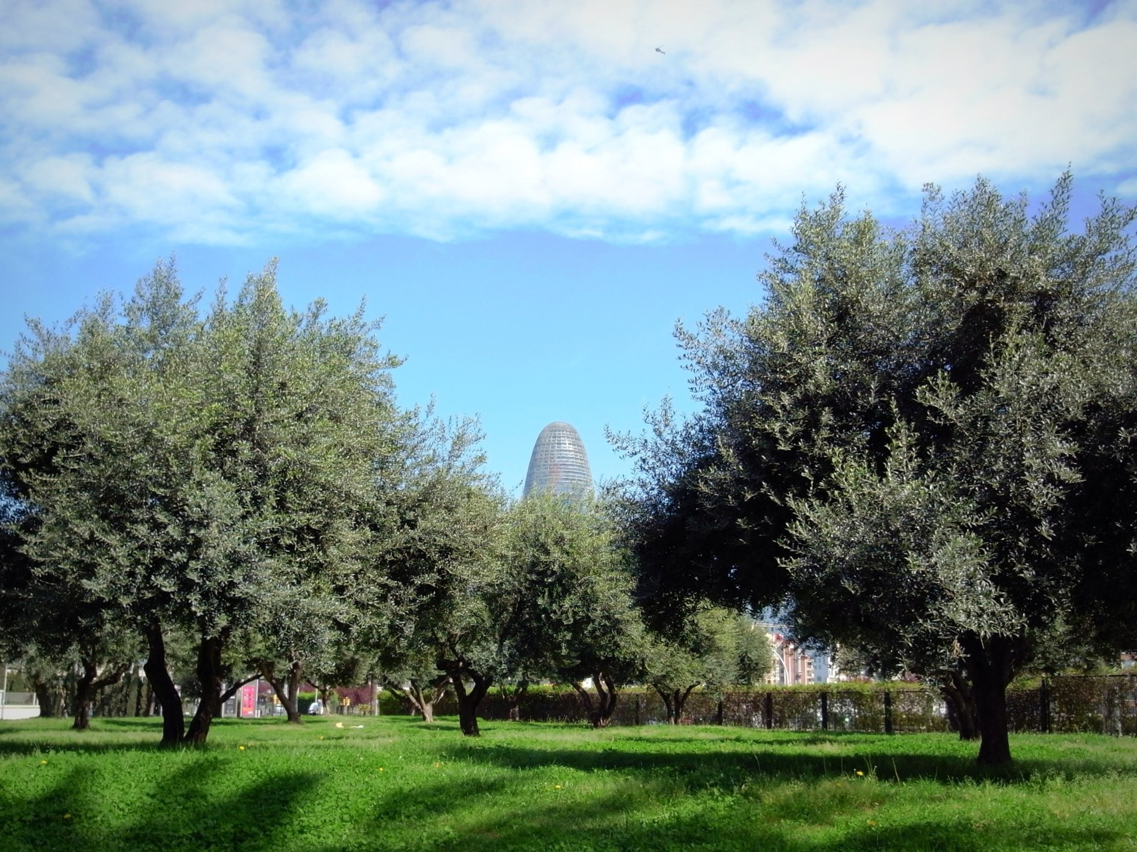Main Garden — 写真2
