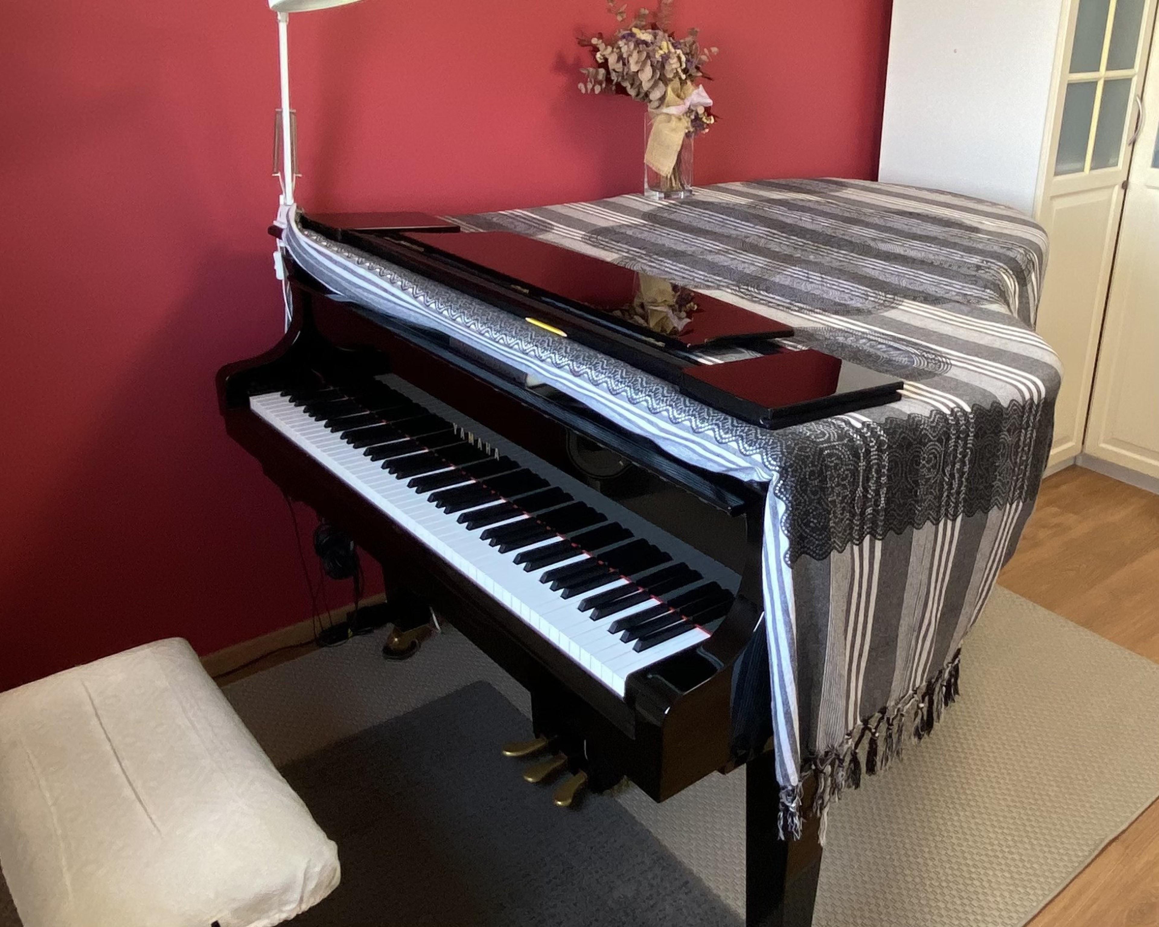 Practice room with grand piano