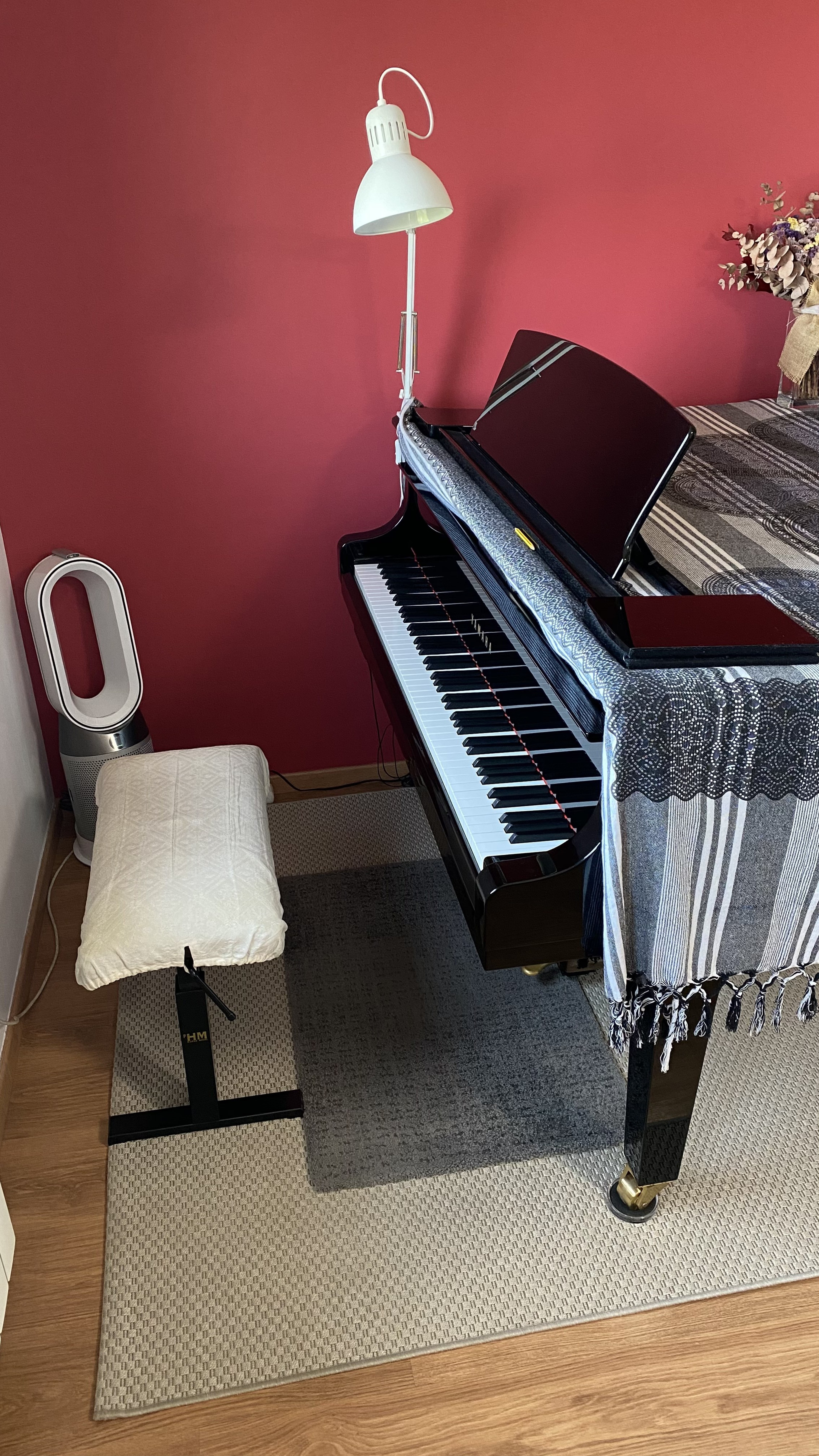 Practice room with grand piano — photo 4