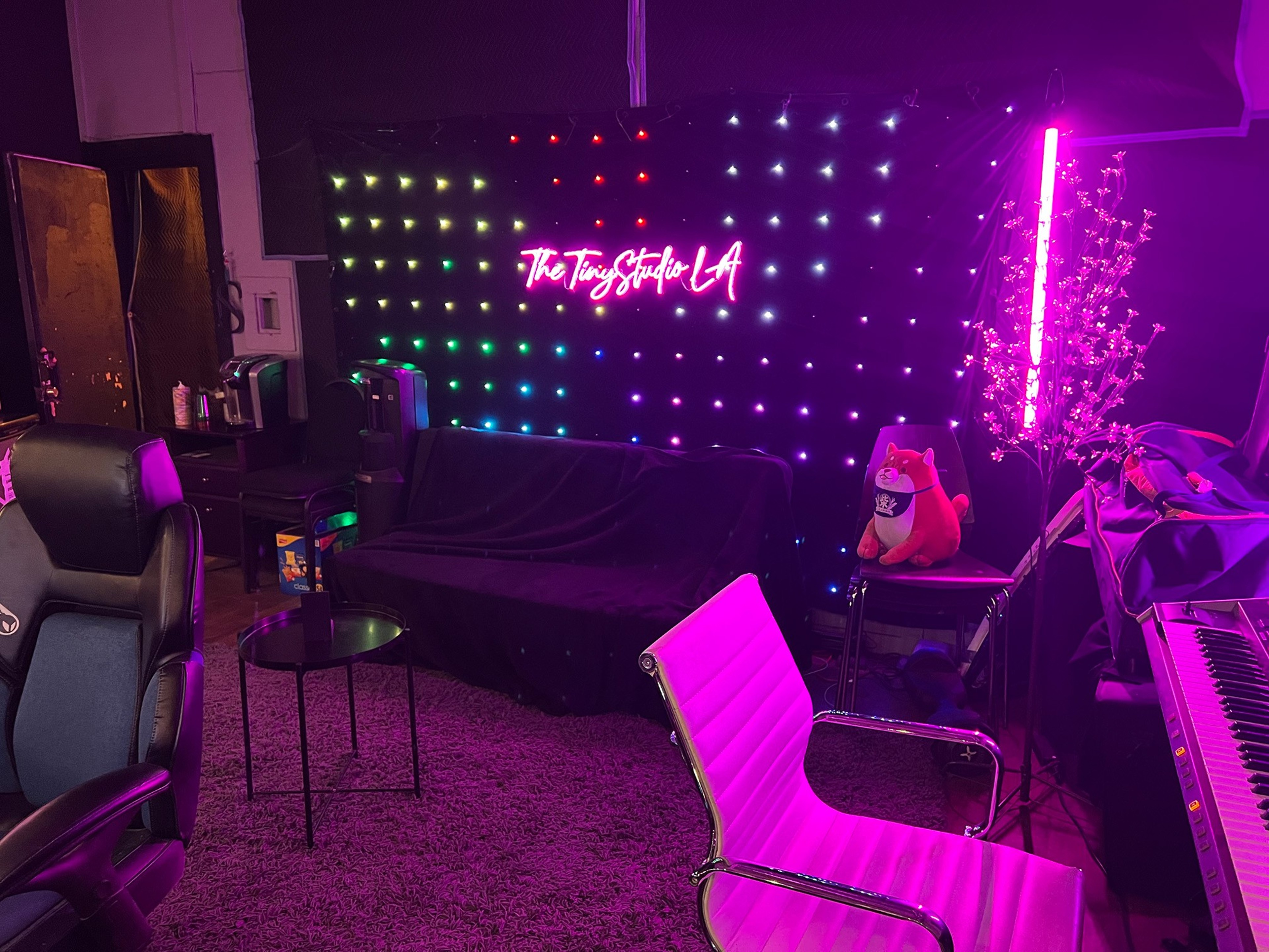 The Tiny Studio LA — photo 3