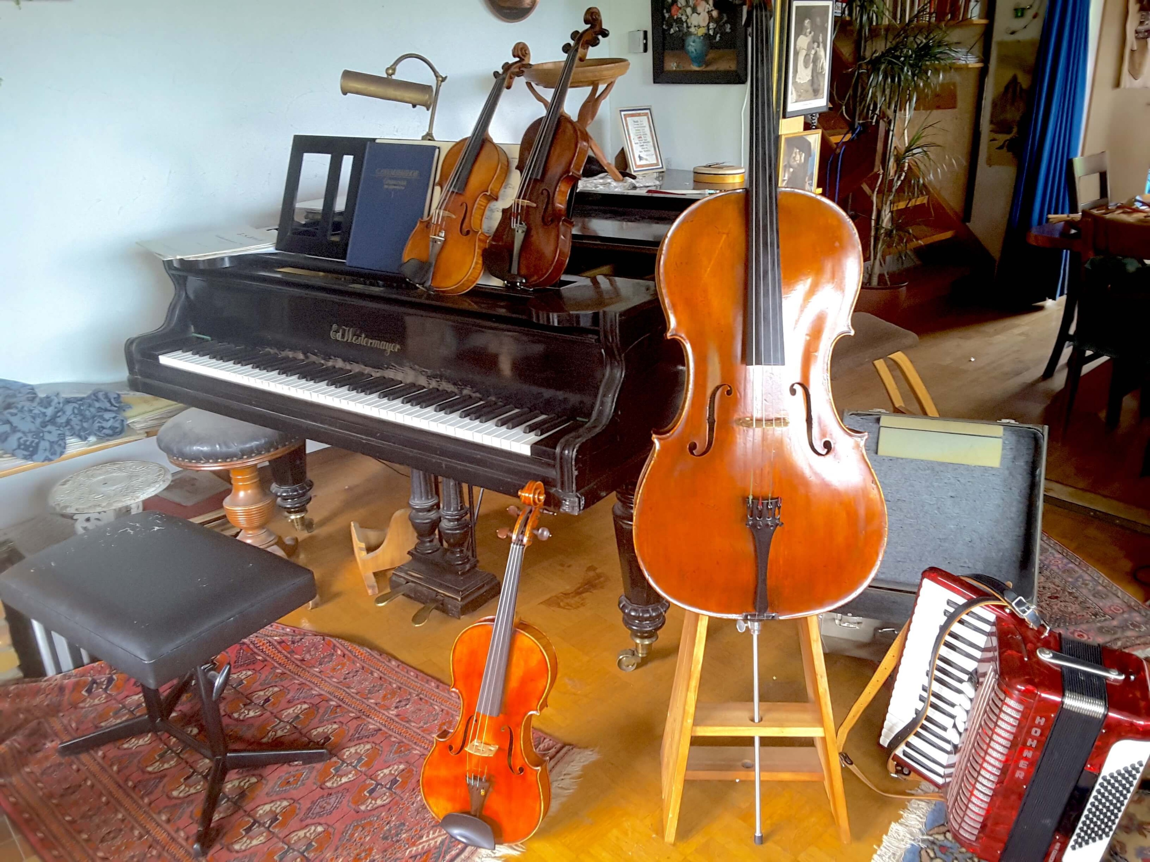 Grand Piano in black forest house — 写真3