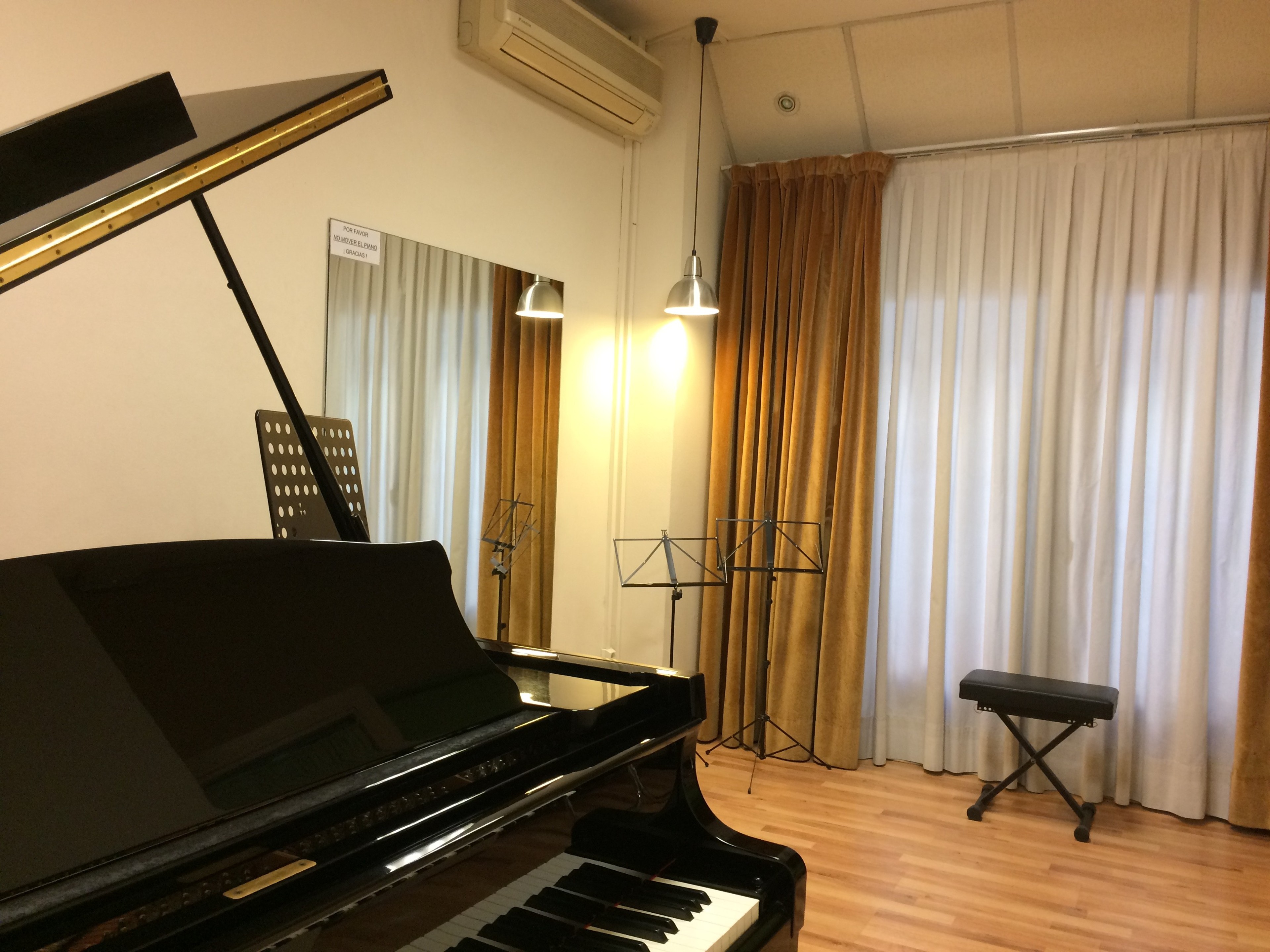 Nice room with baby grand piano — 写真5