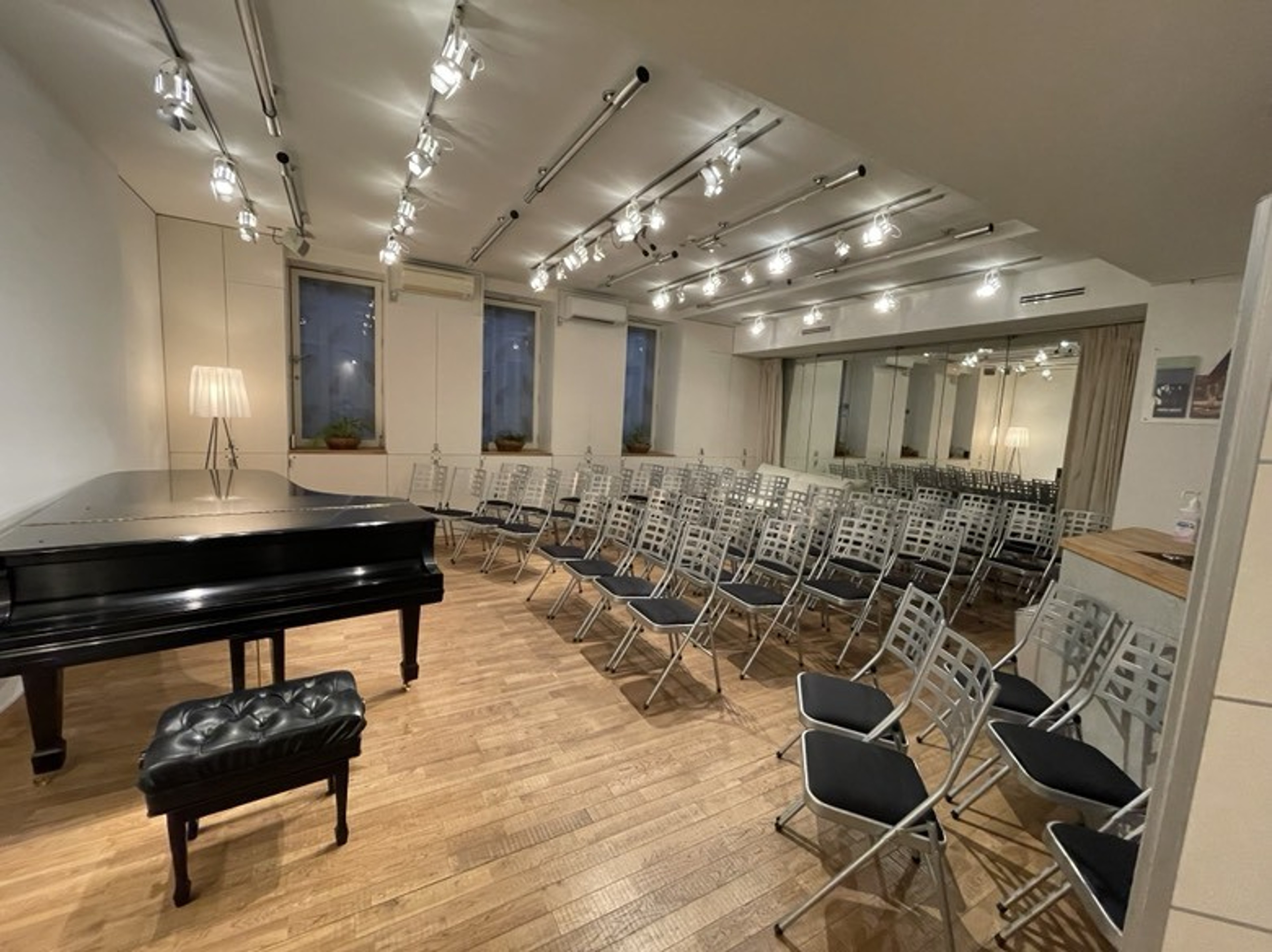 Excellent Music Salon with NY Steinway Model D — 写真2