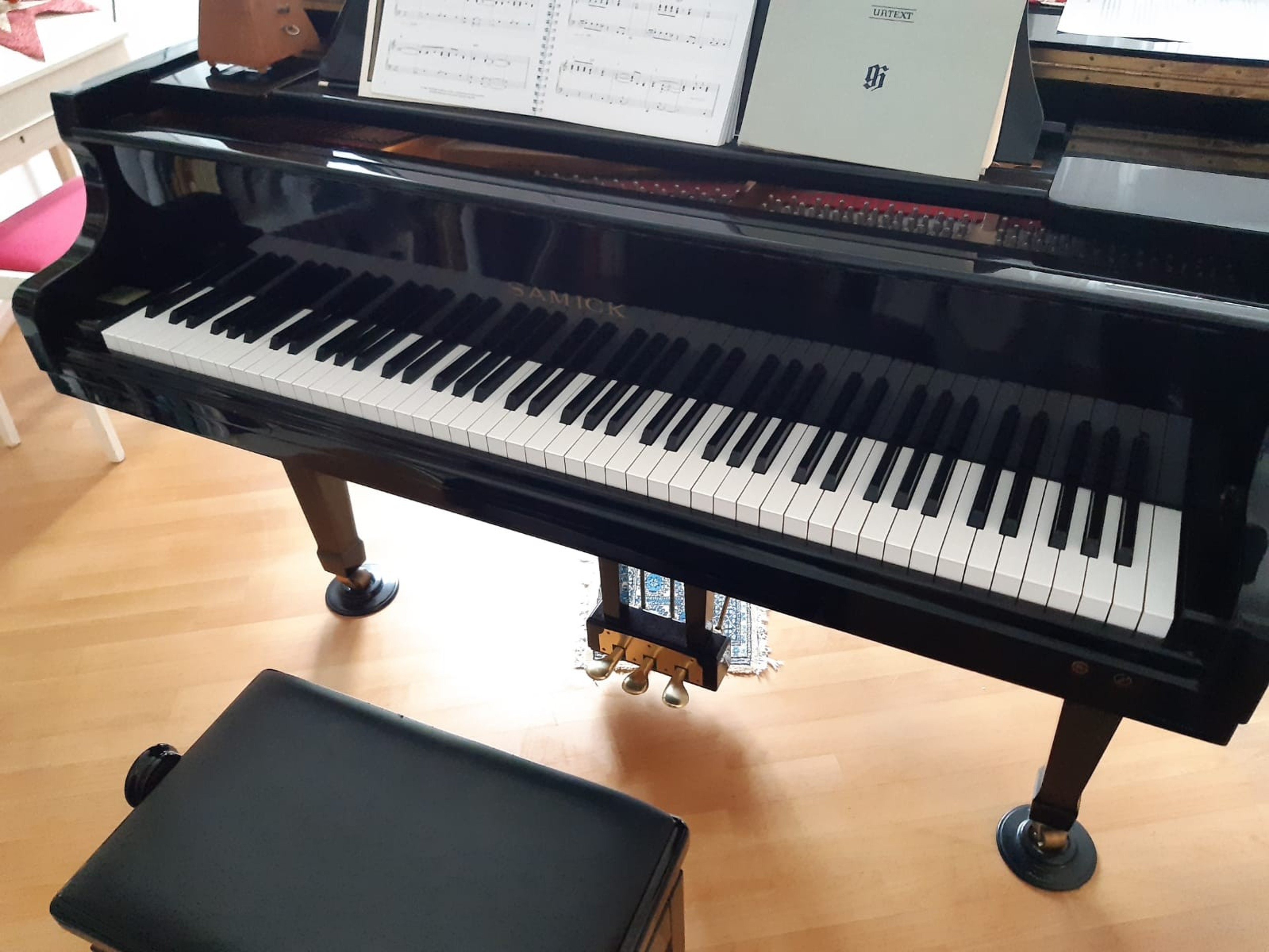 Grand Piano in Weil am Rhein close to Basel — photo 2
