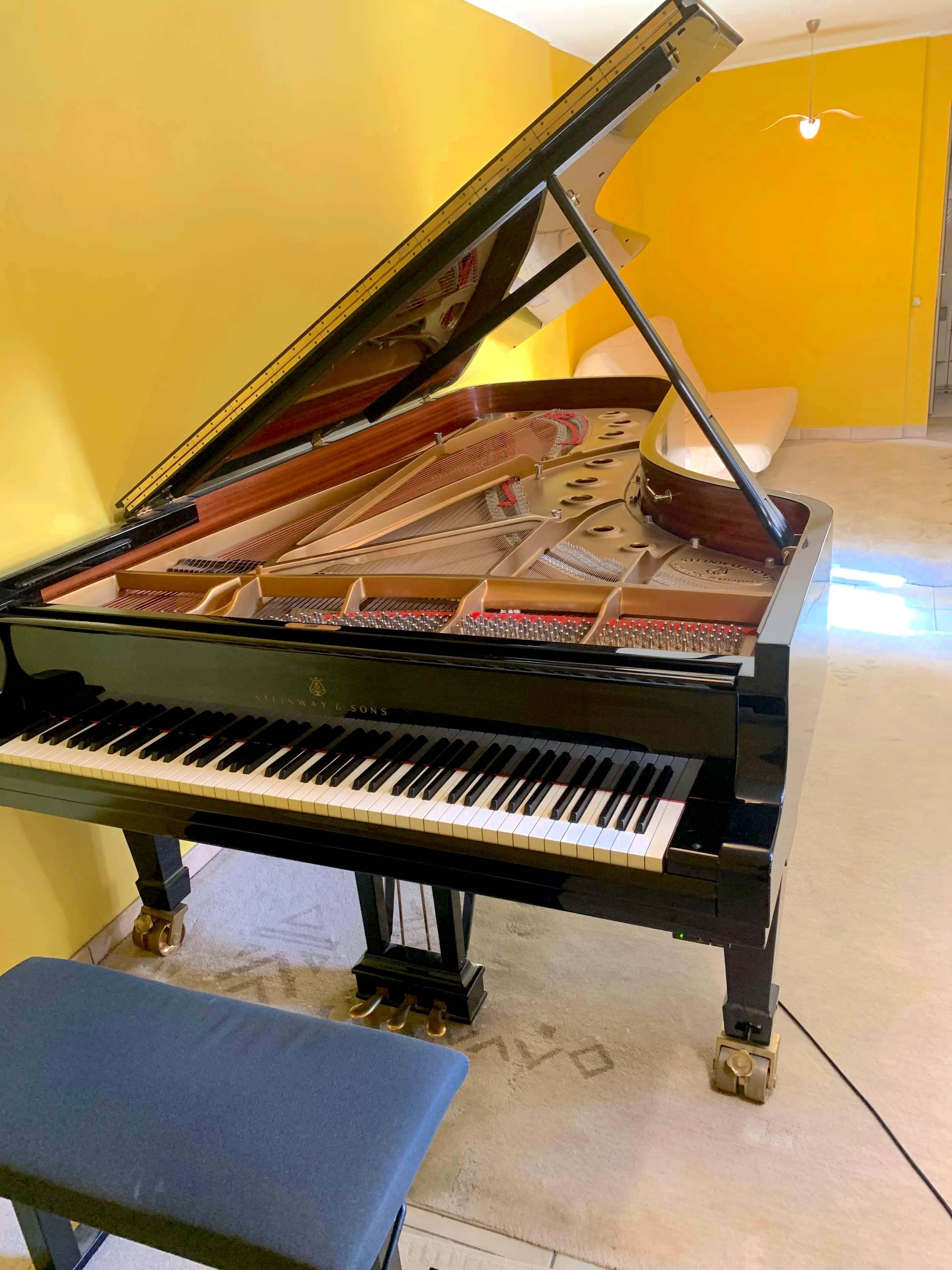 Concert Grand Steinway in a quiet house — photo 2
