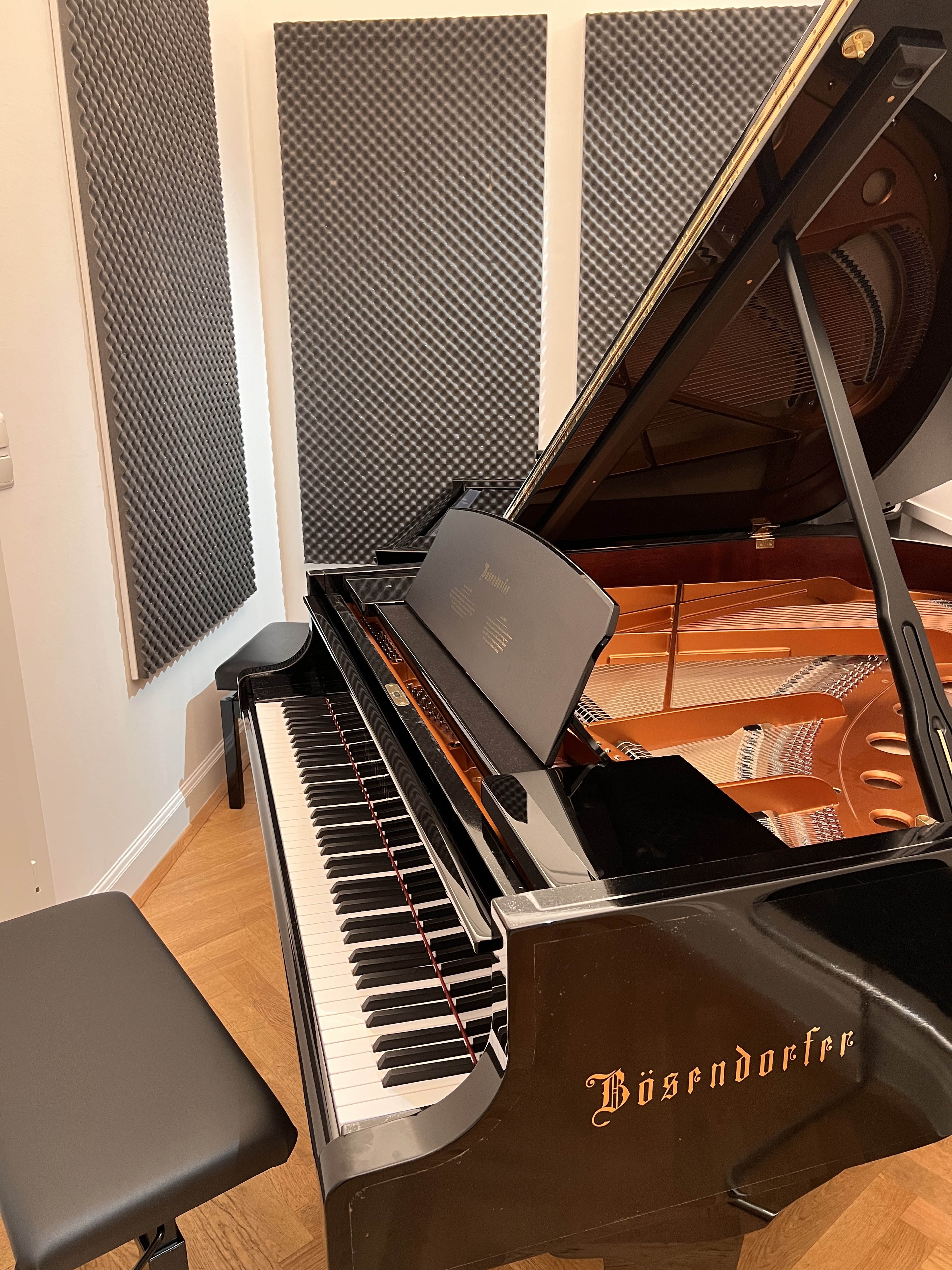 Übungsstudio mit Bösendorfer Flügel