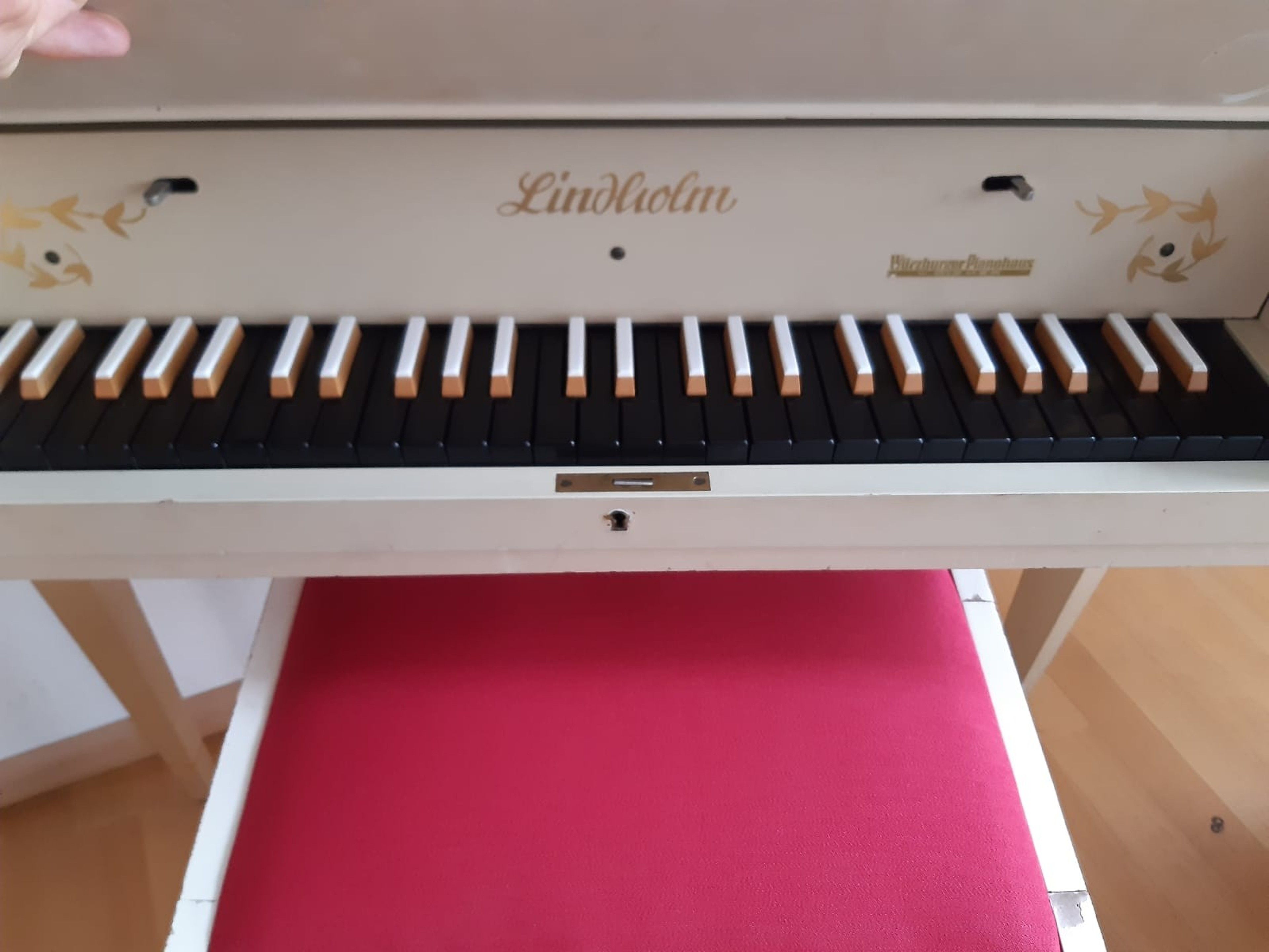 Grand Piano in Weil am Rhein close to Basel — photo 4
