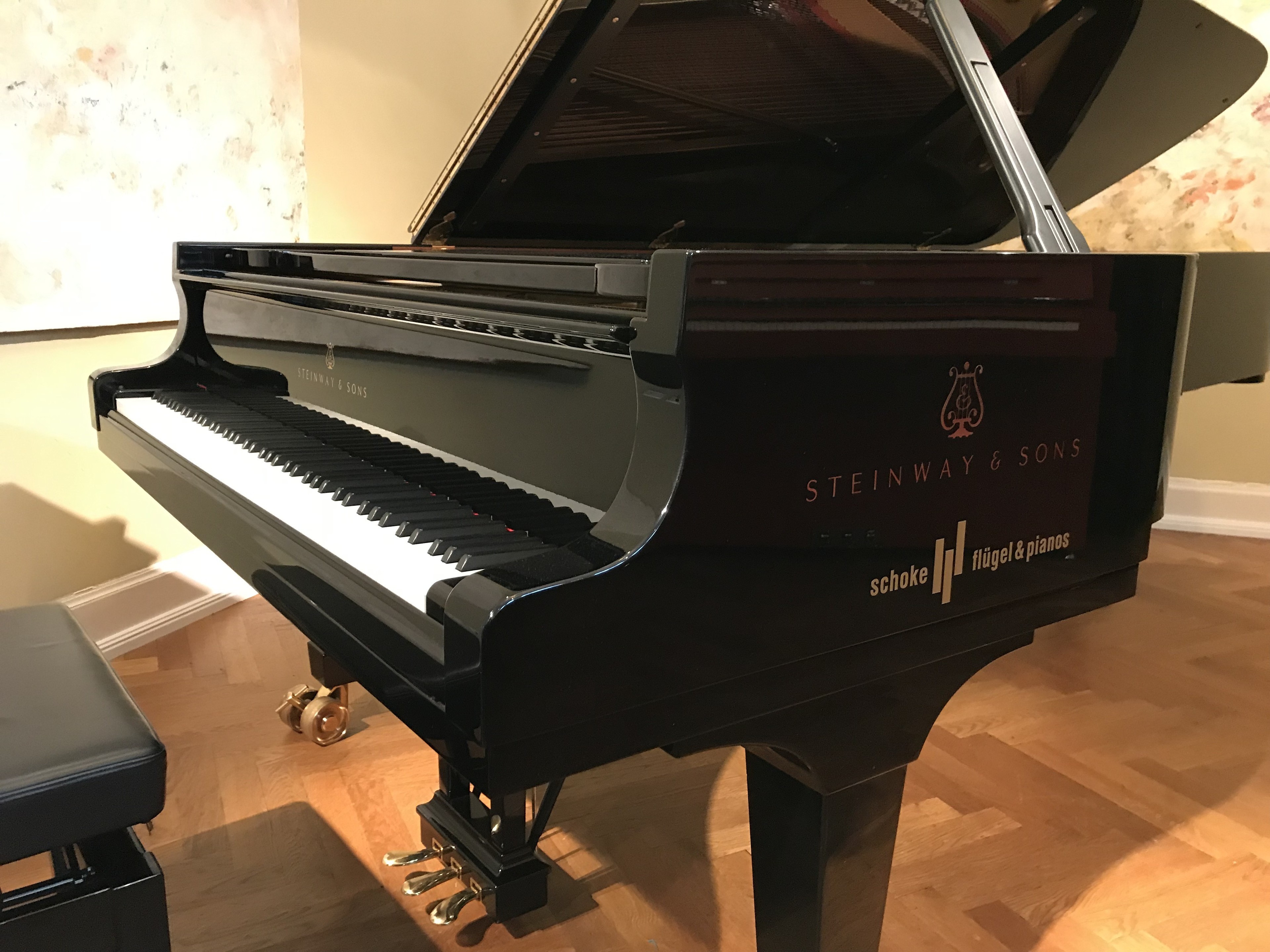 An exquisite Steinway D,  in the heart of Cologne — 写真4