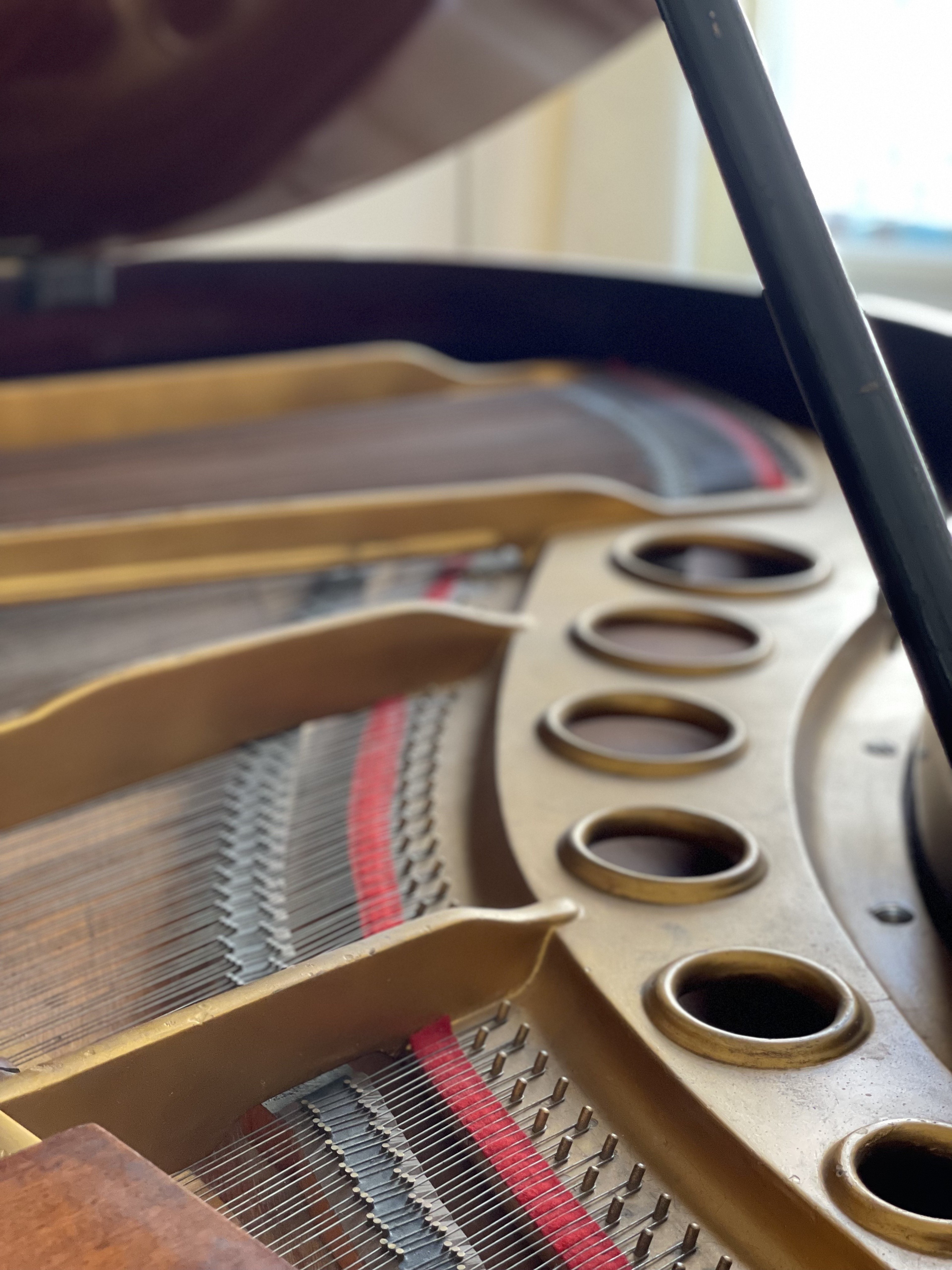 Piano Room next to the City Hall — photo 2
