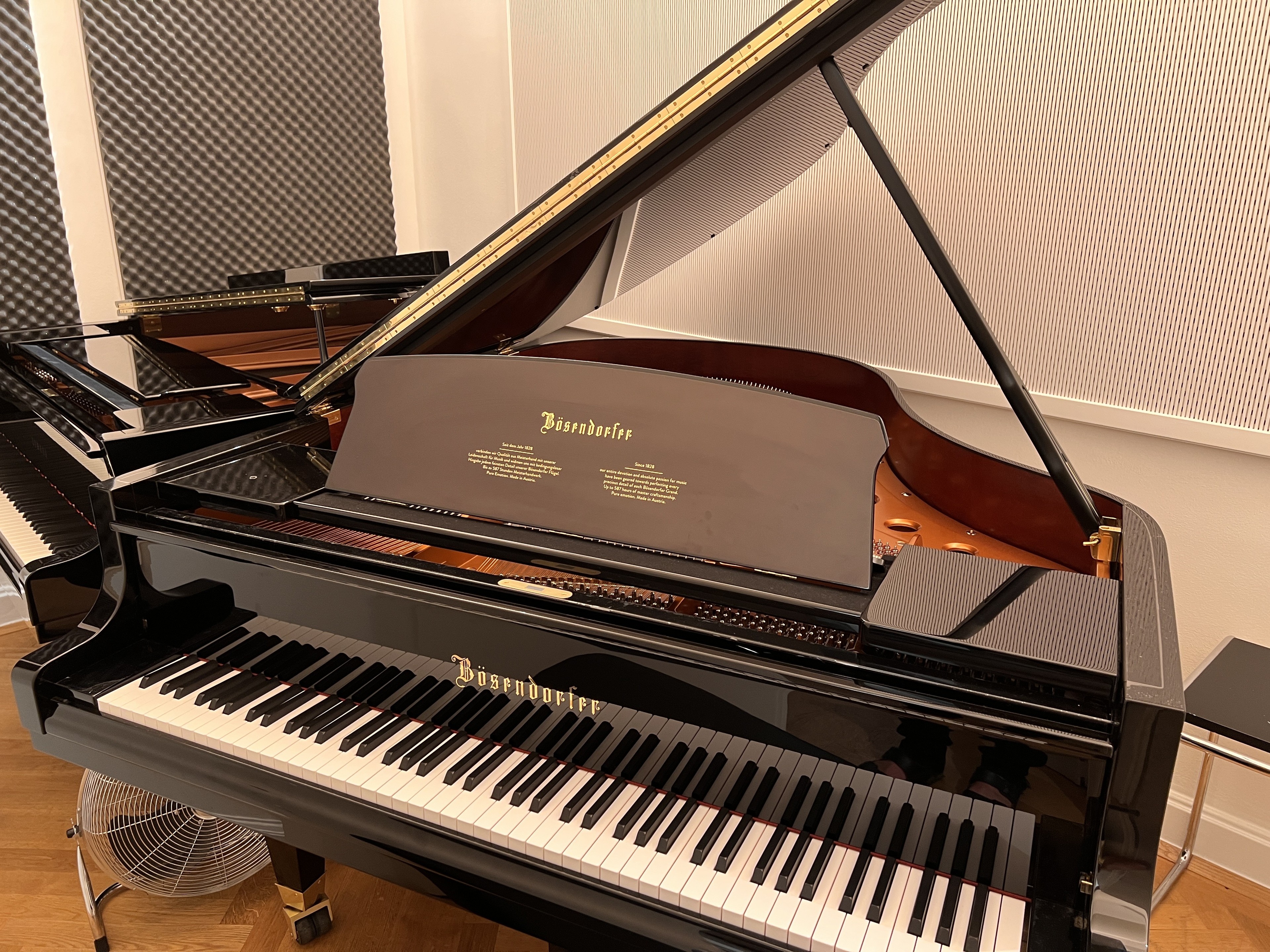 Übungsstudio mit Bösendorfer Flügel — photo 2