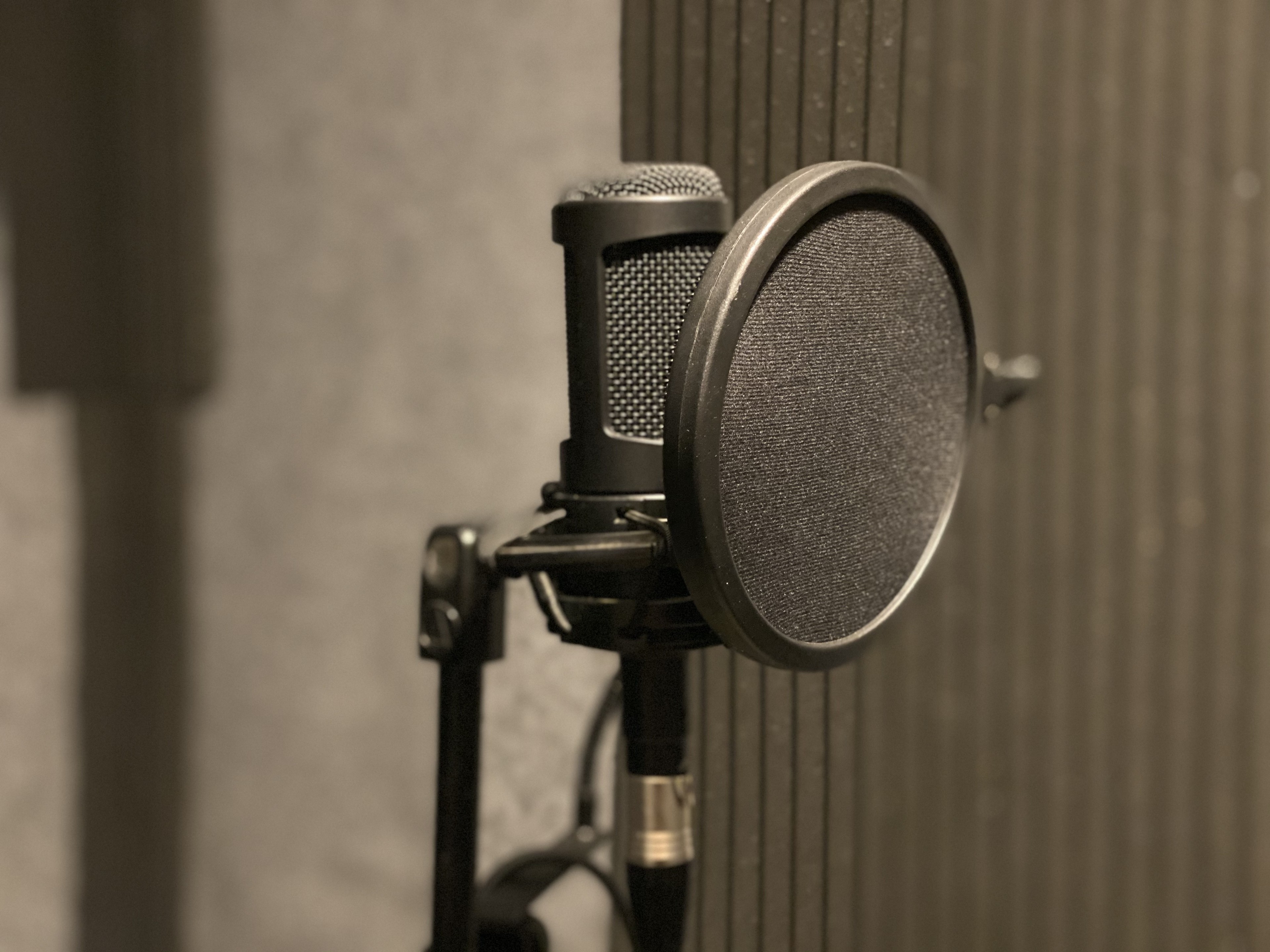 Cozy Recording Studio with various instruments — photo 4