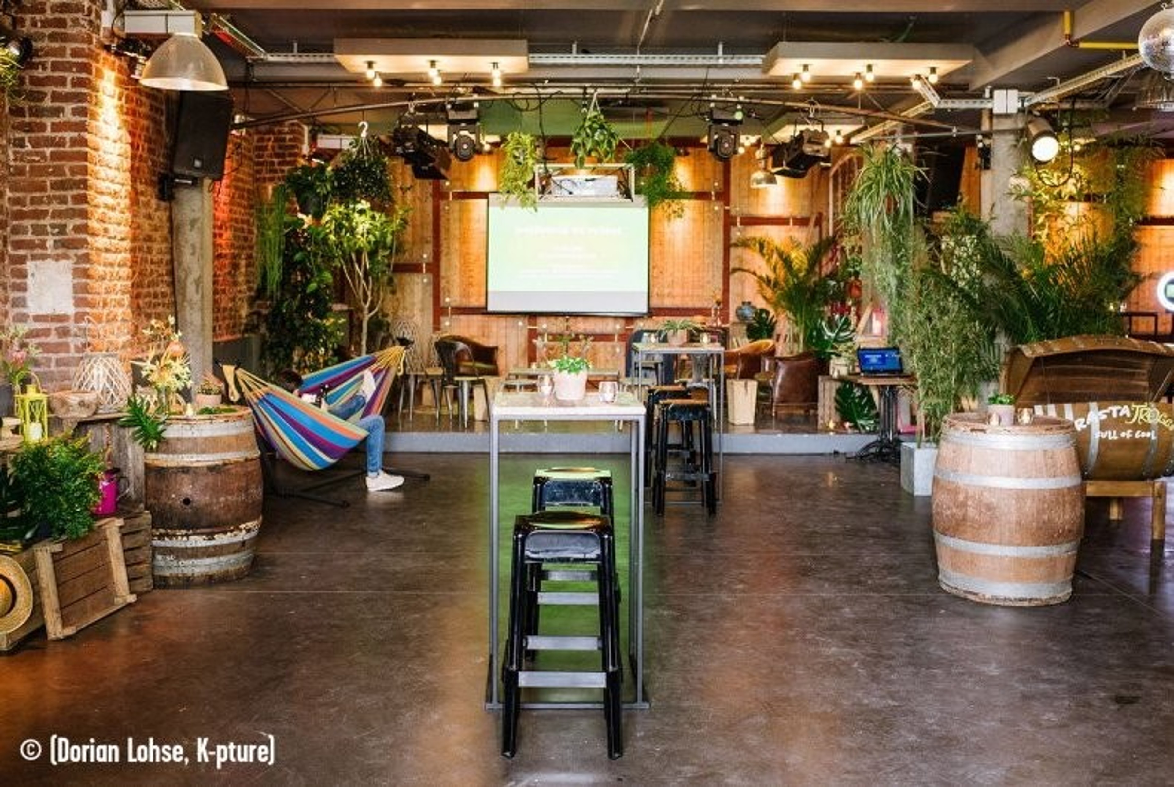 Salon - Creative Oasis — photo 4