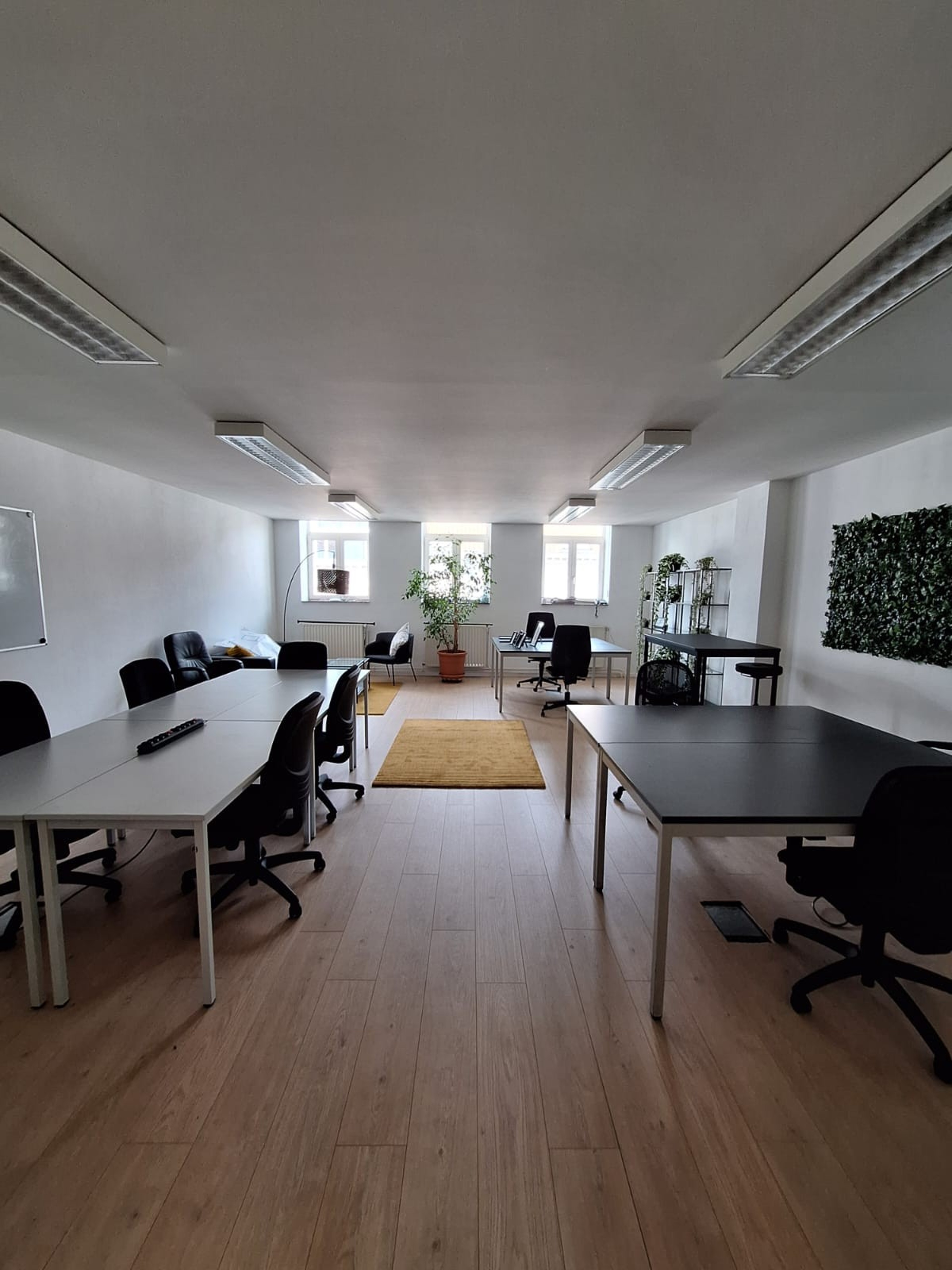 Bright Open Coworking Space with Hints of Green