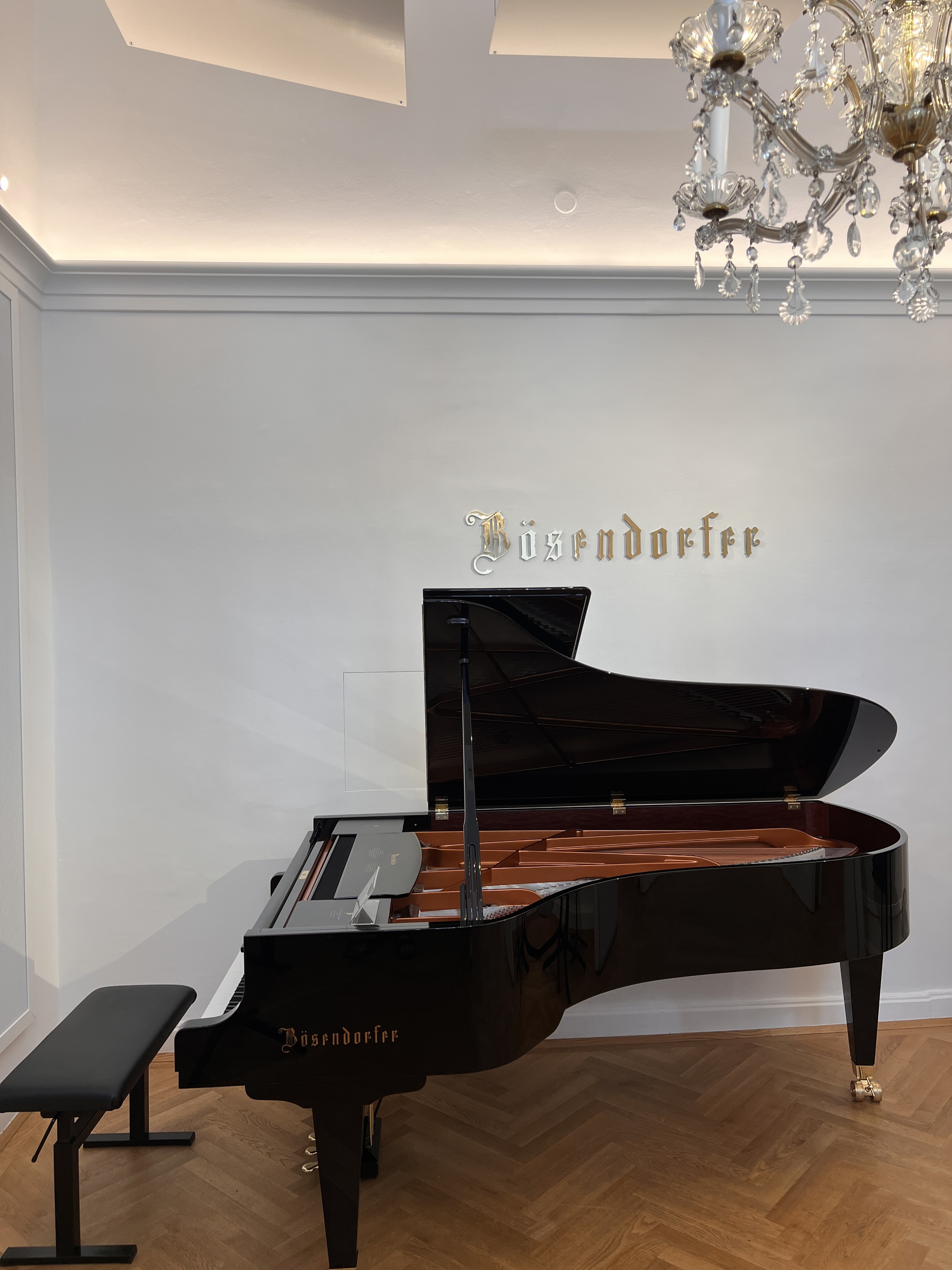 Konzertstudio mit zwei Bösendorfer Concert Grands — photo 5