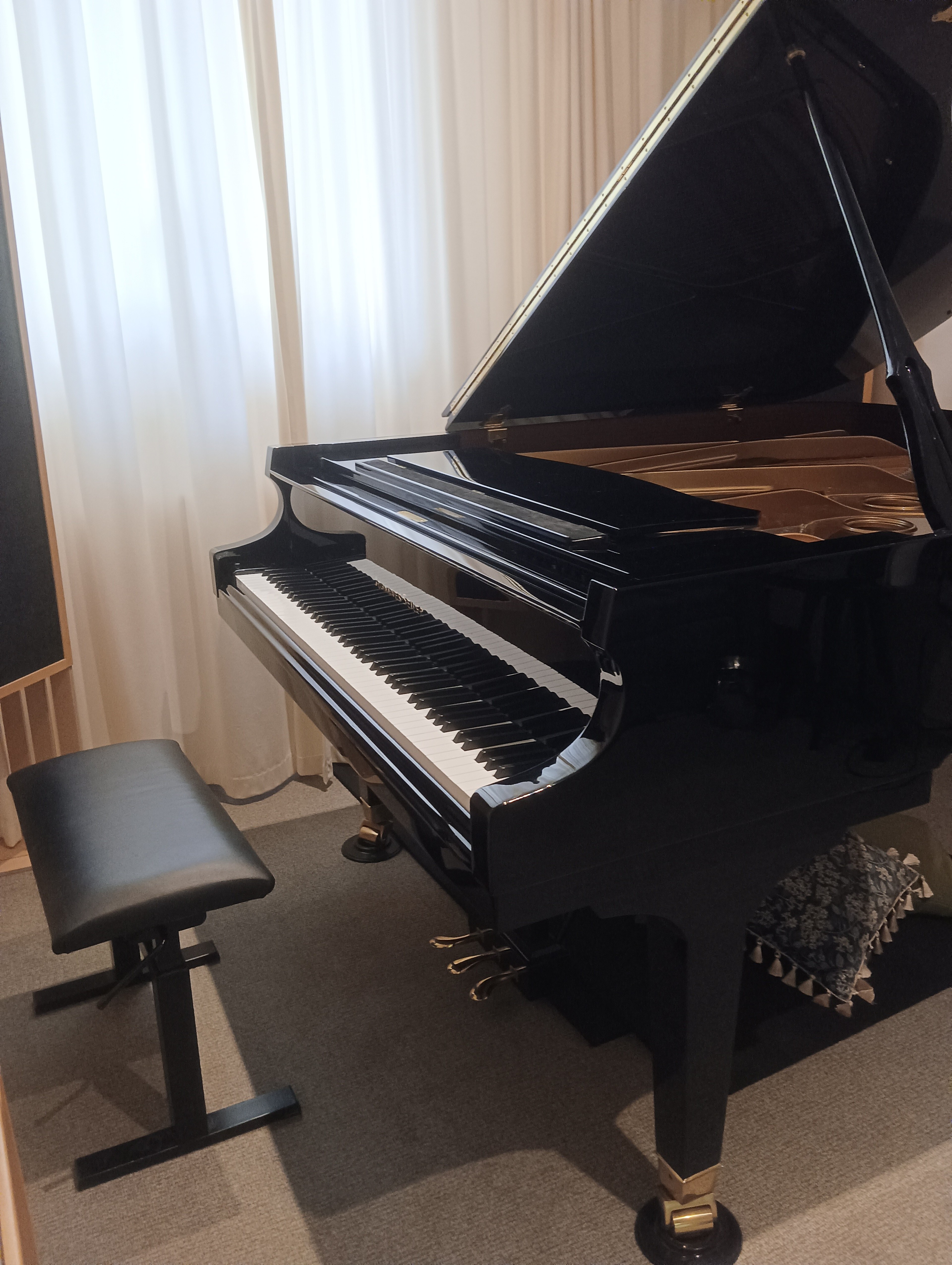 TonArt Piano Studio — photo 3