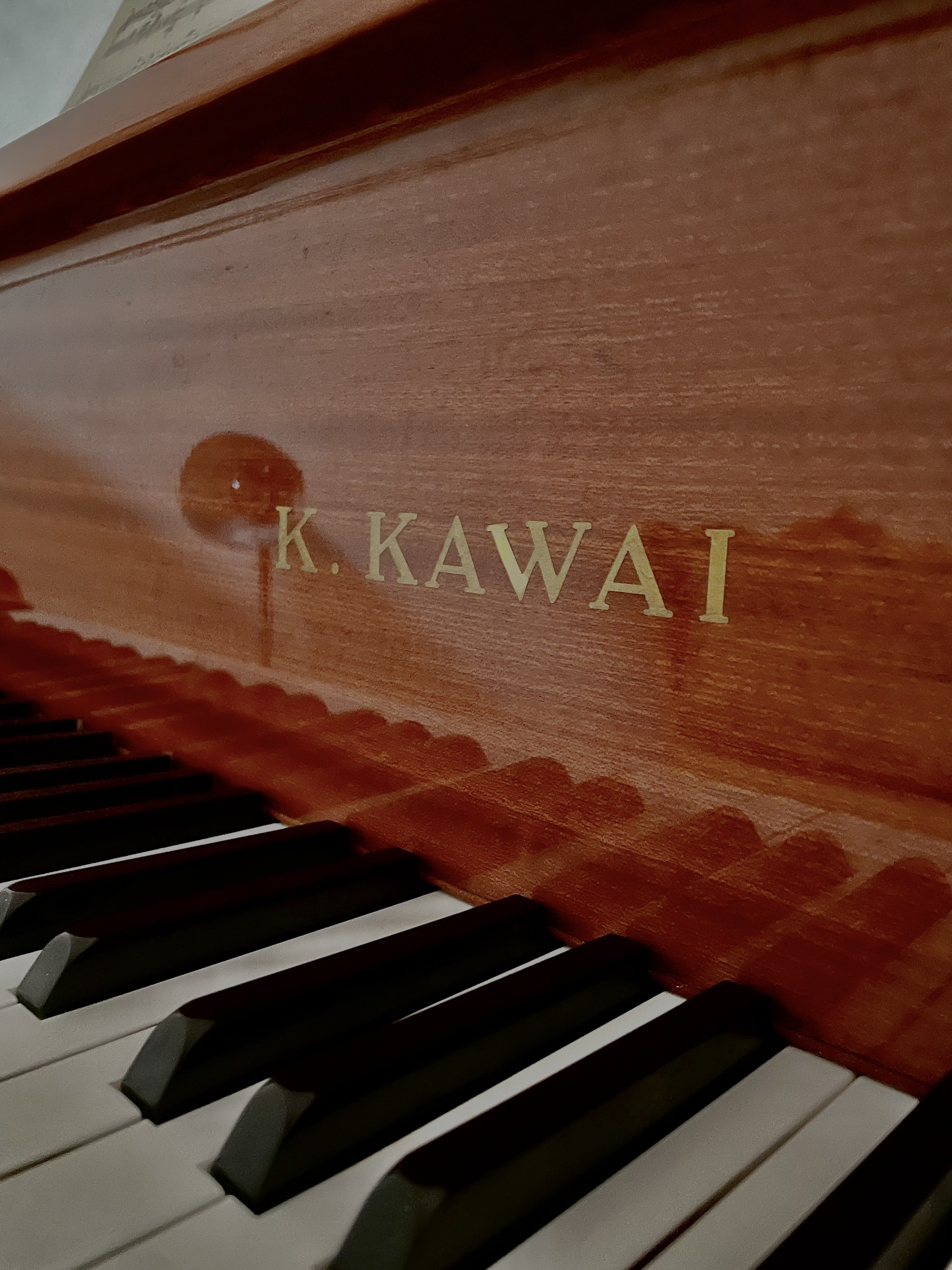 Practice room with grand piano in Vienna center — photo 3