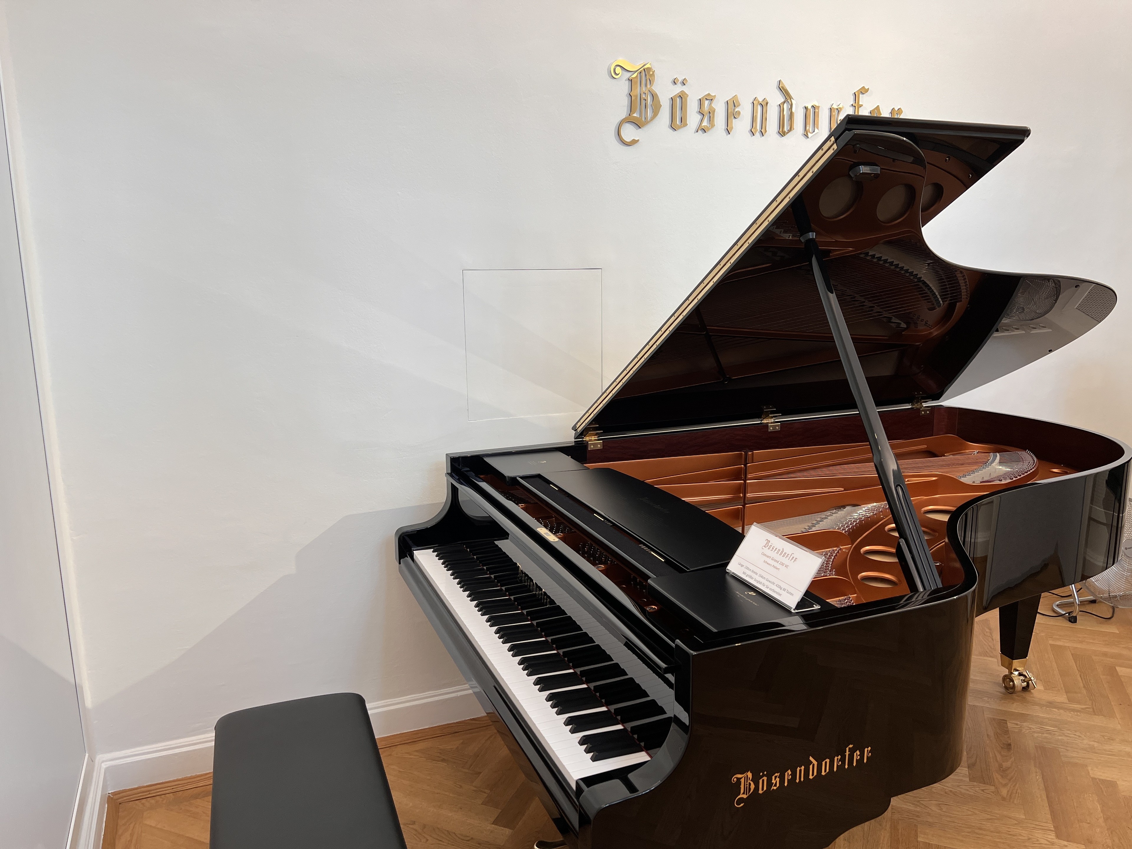 Konzertstudio mit zwei Bösendorfer Concert Grands — photo 2