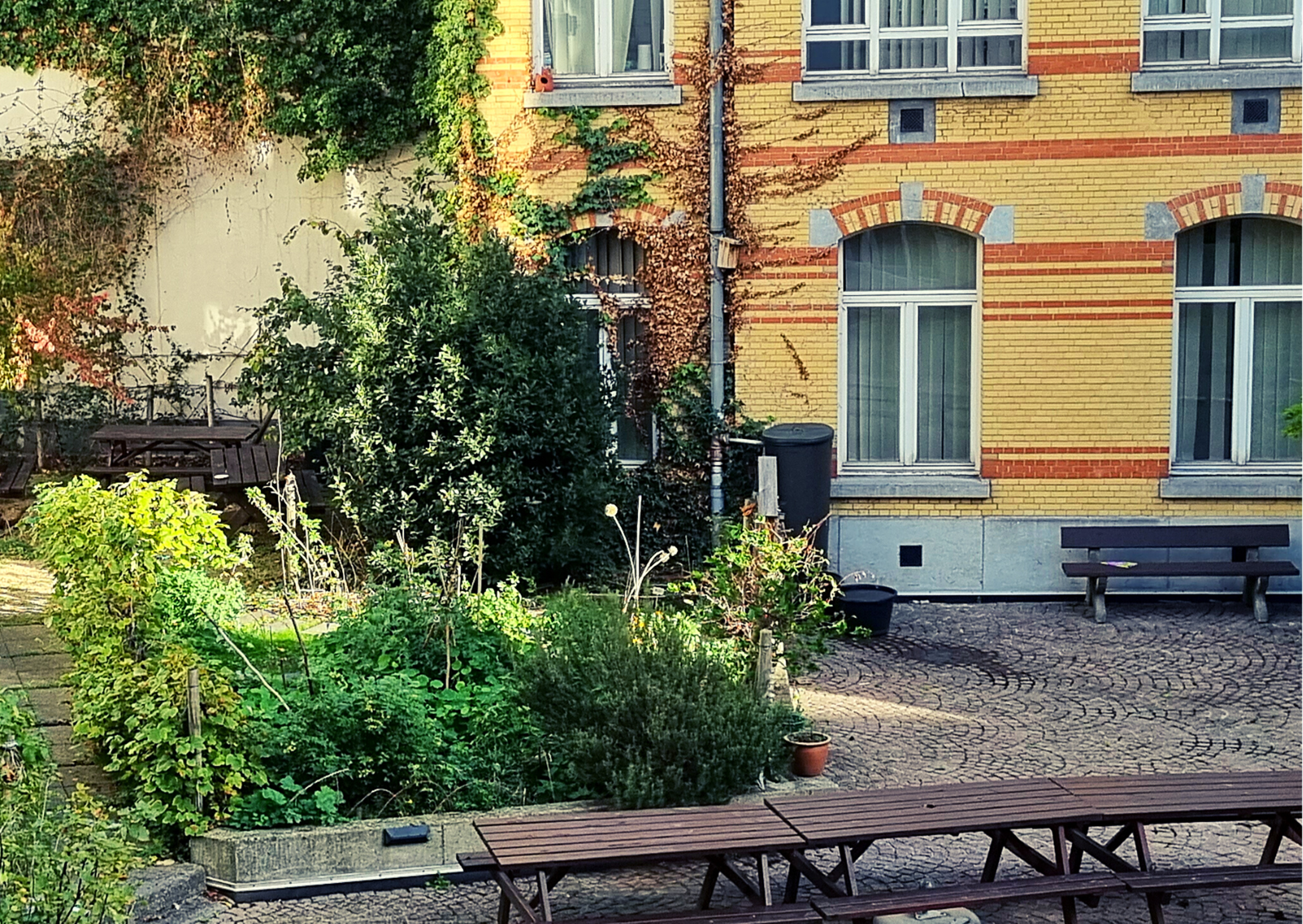 Hidden Forest in the City — photo 3
