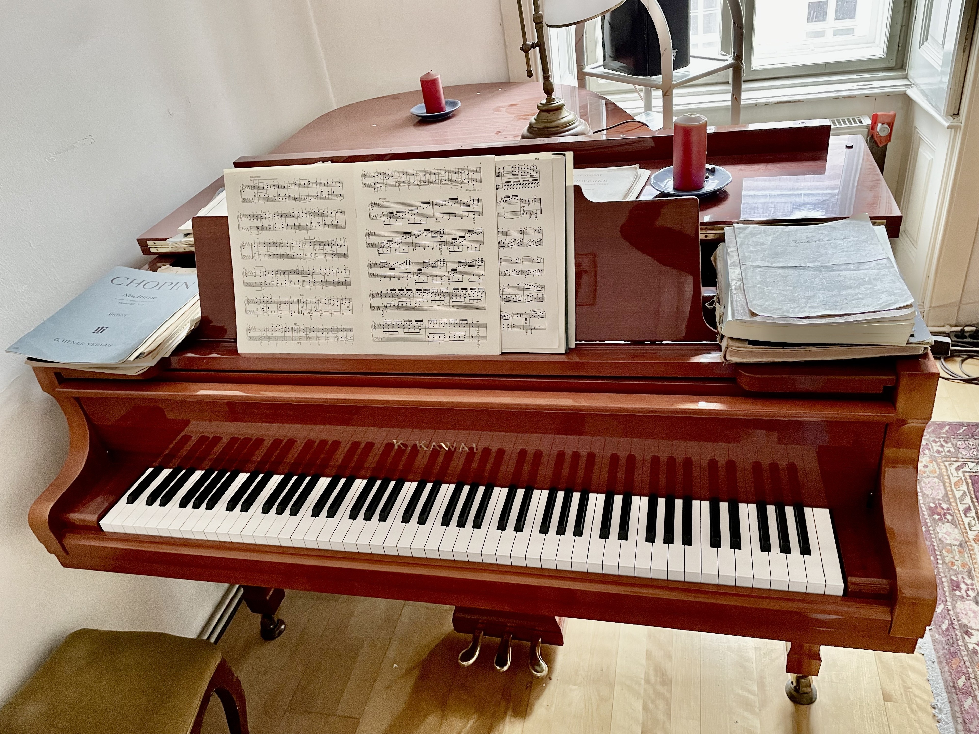 Practice room with grand piano in Vienna center — photo 4