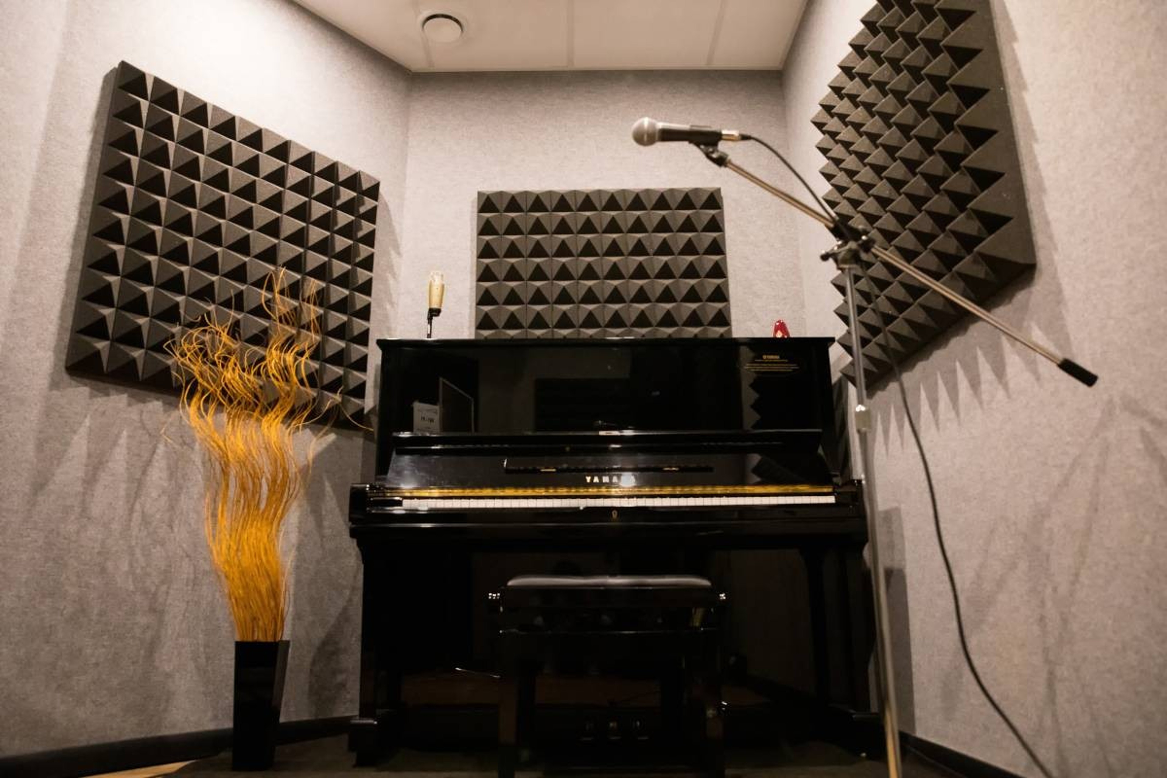 Blue Note Recording Studio — photo 3