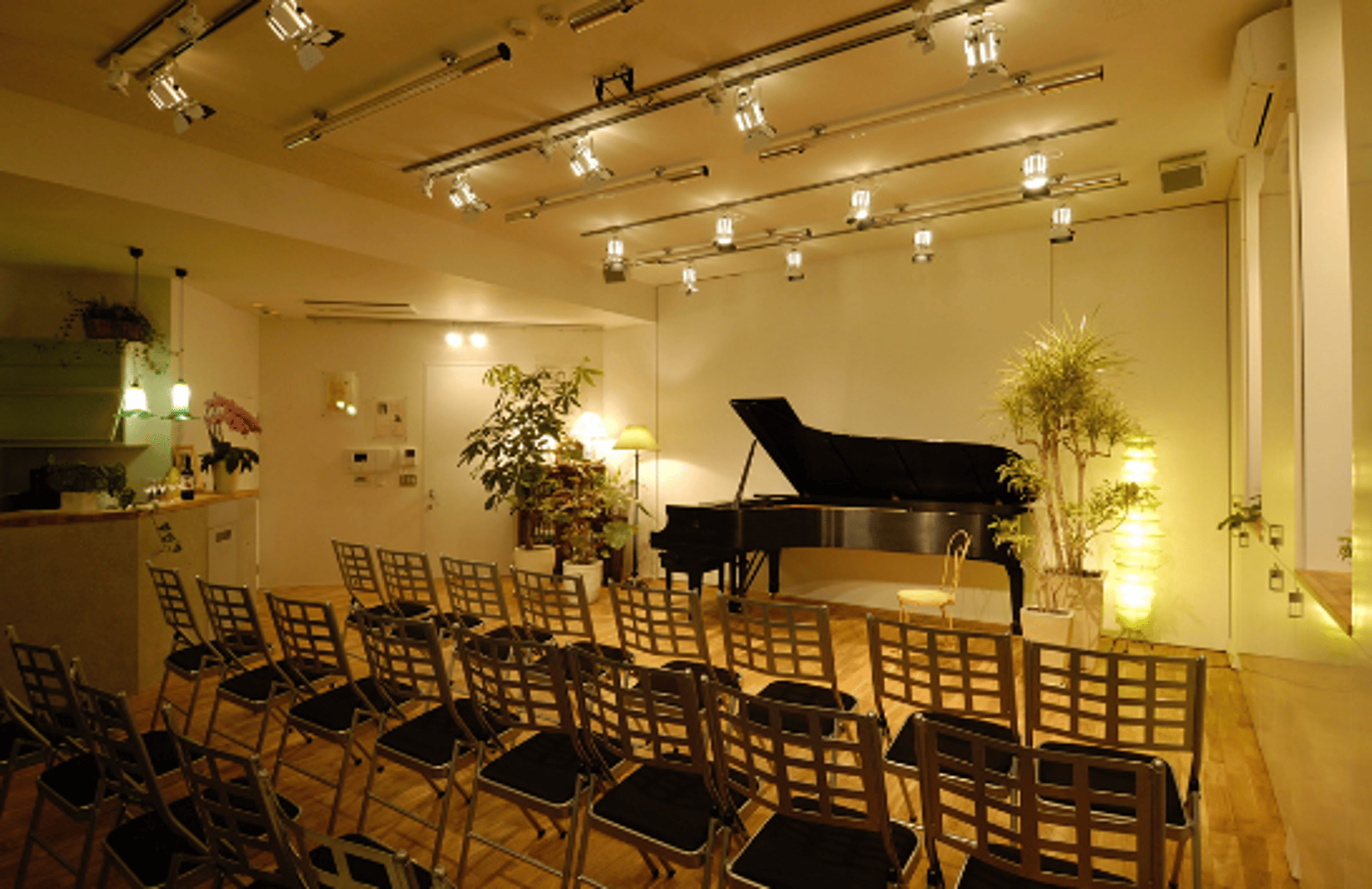 Excellent Music Salon with NY Steinway Model D