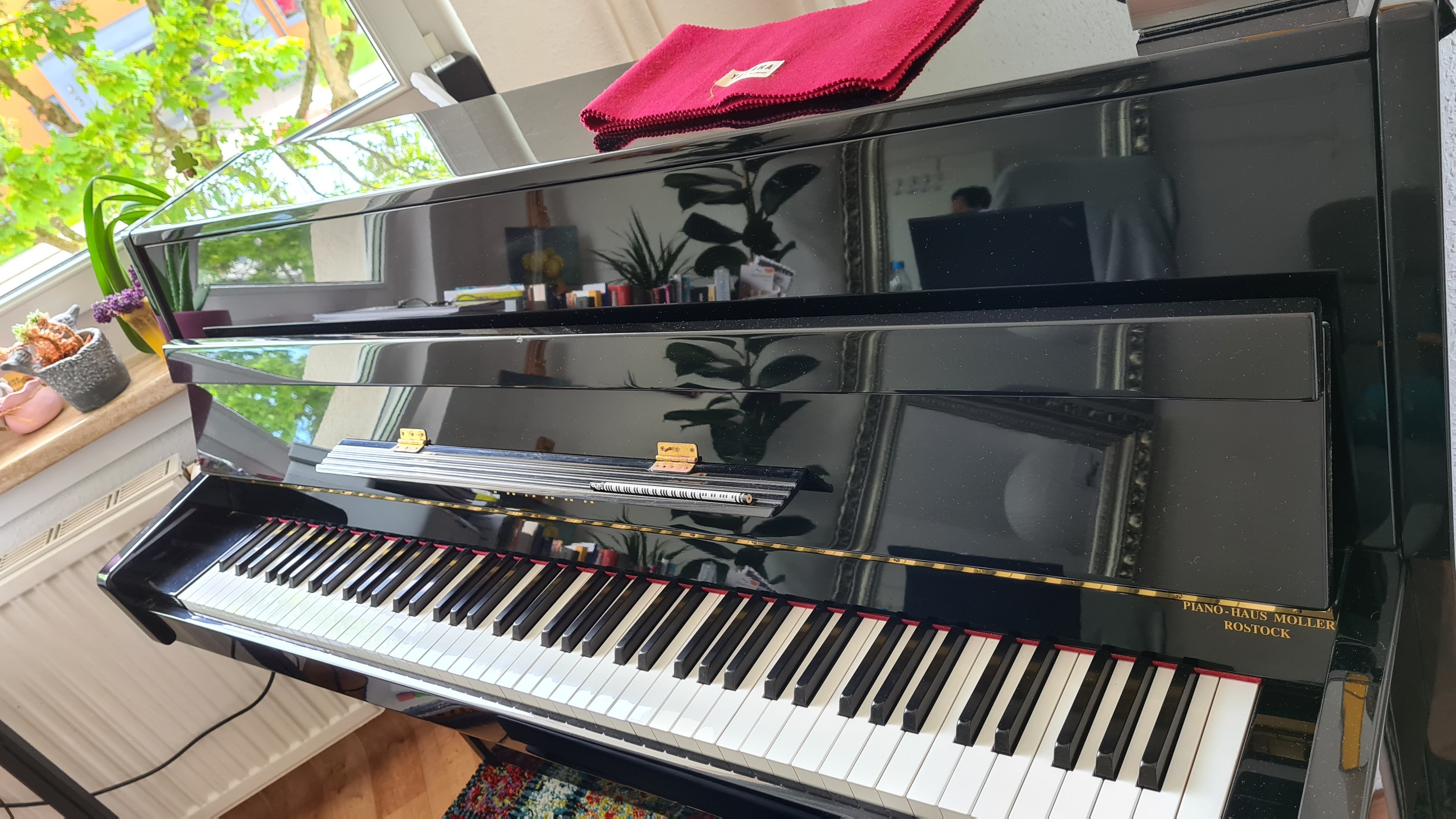 Golden Strings Studio — photo 3