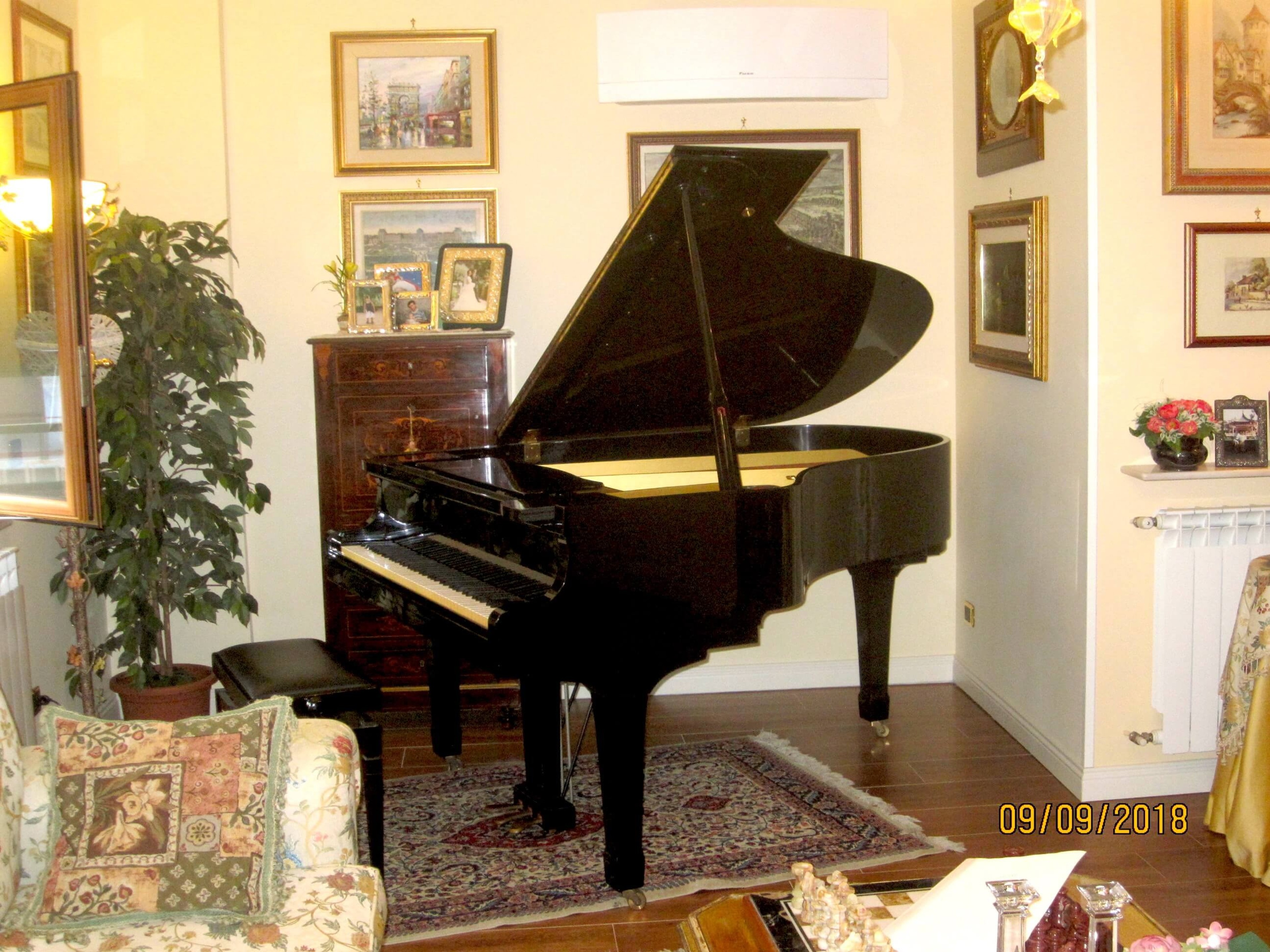 Beautiful Yamaha grand piano in bright room