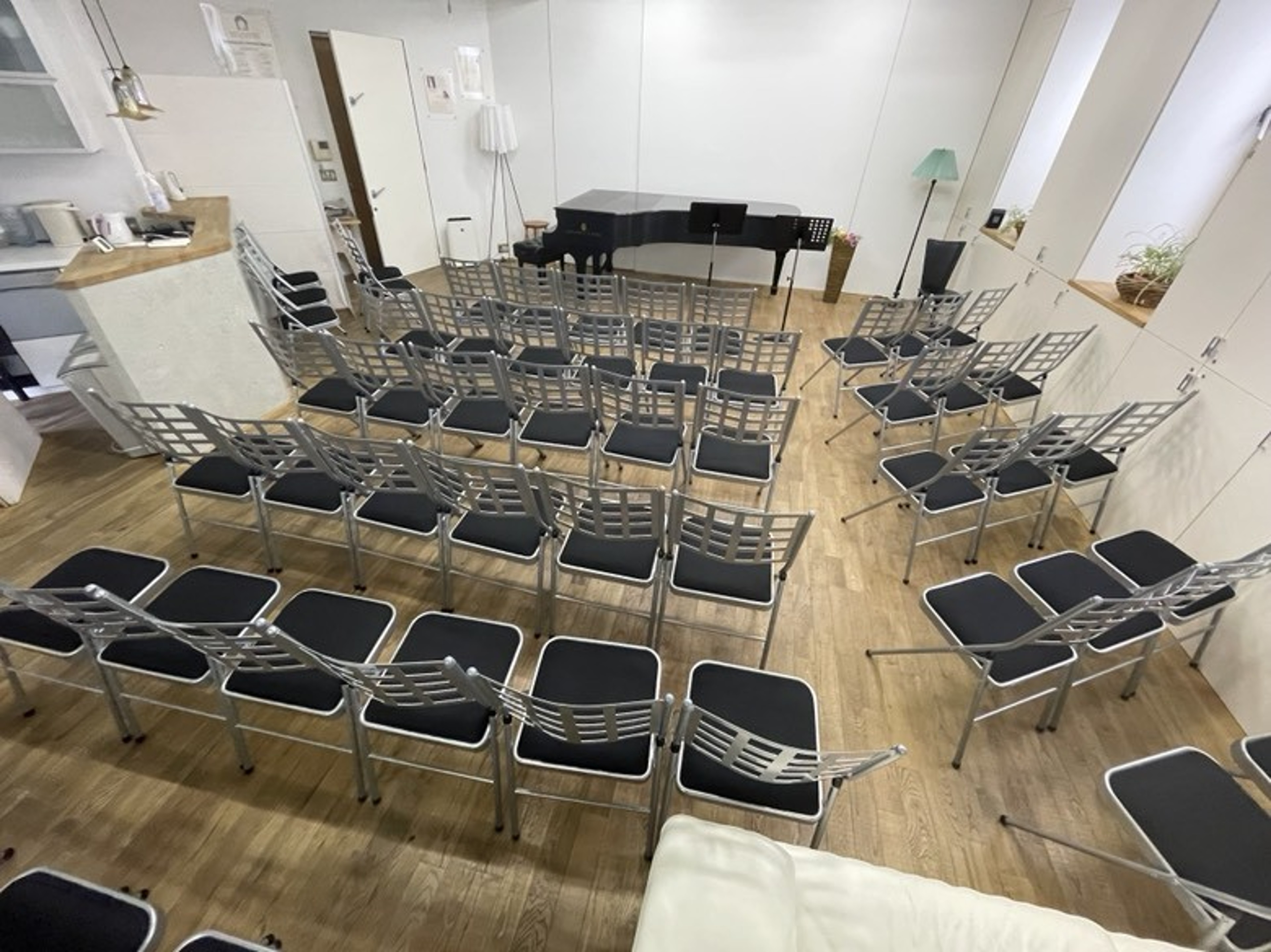 Excellent Music Salon with NY Steinway Model D — 写真3