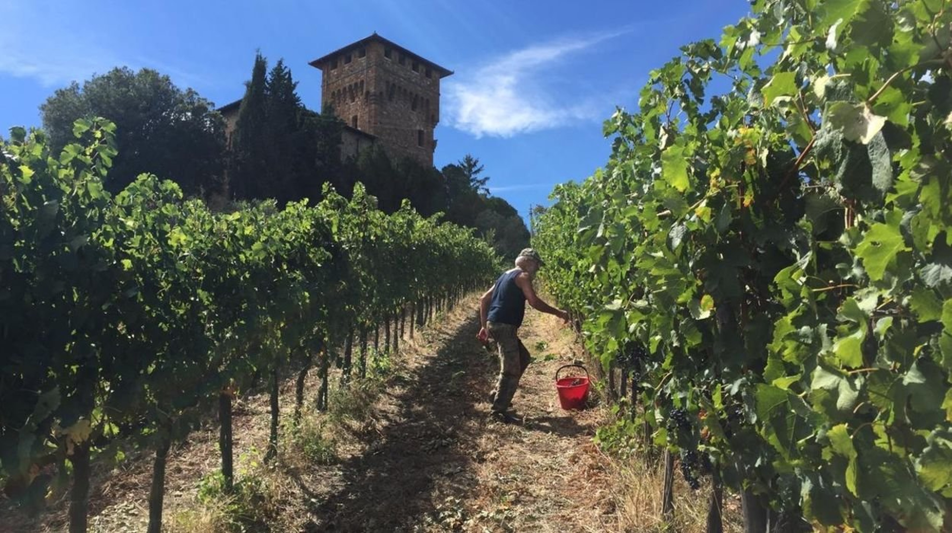 Musica, storia ed eleganza nel cuore del Chianti - Music, History and Timeless Elegance in the Heart of Chianti — photo 4