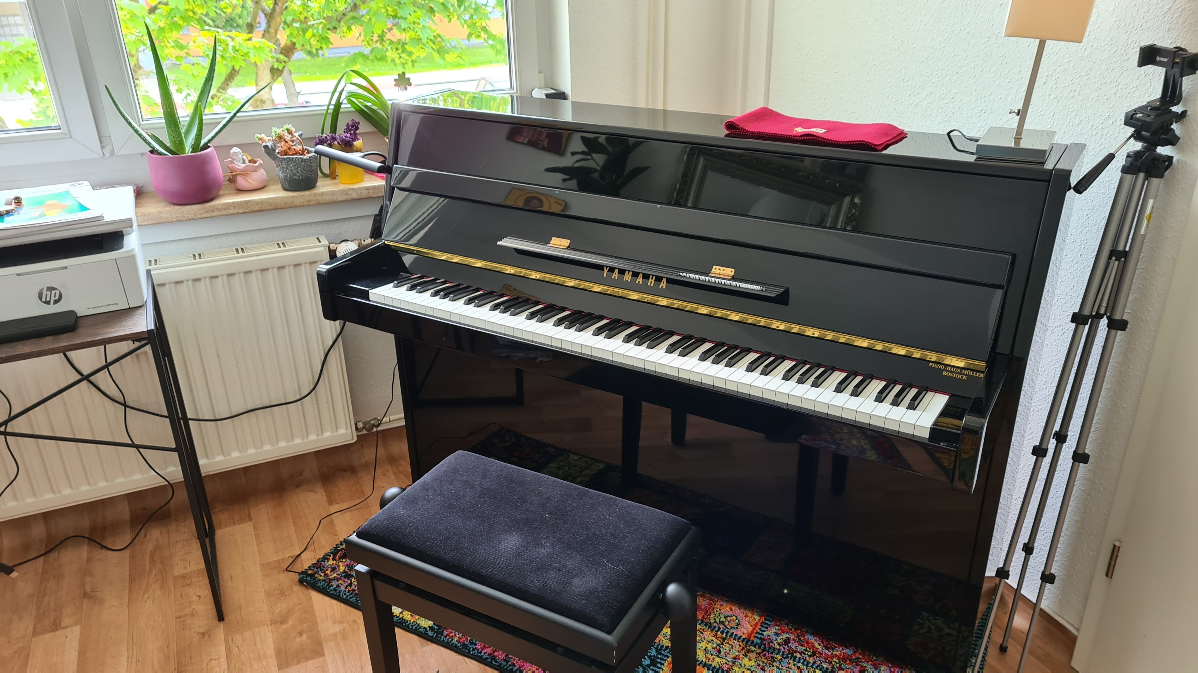 Golden Strings Studio — photo 2