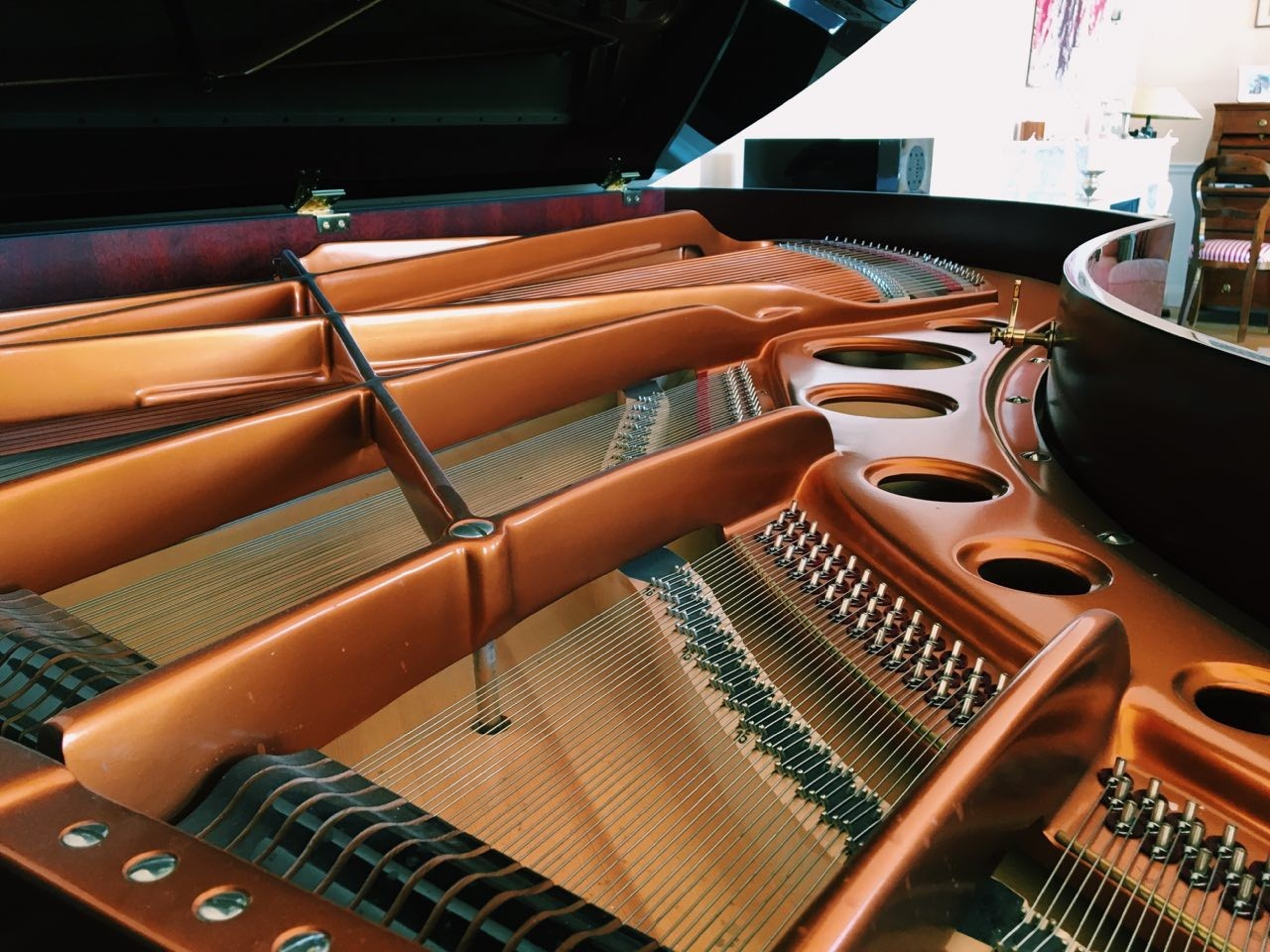 Musiksalon Beethoven — photo 2