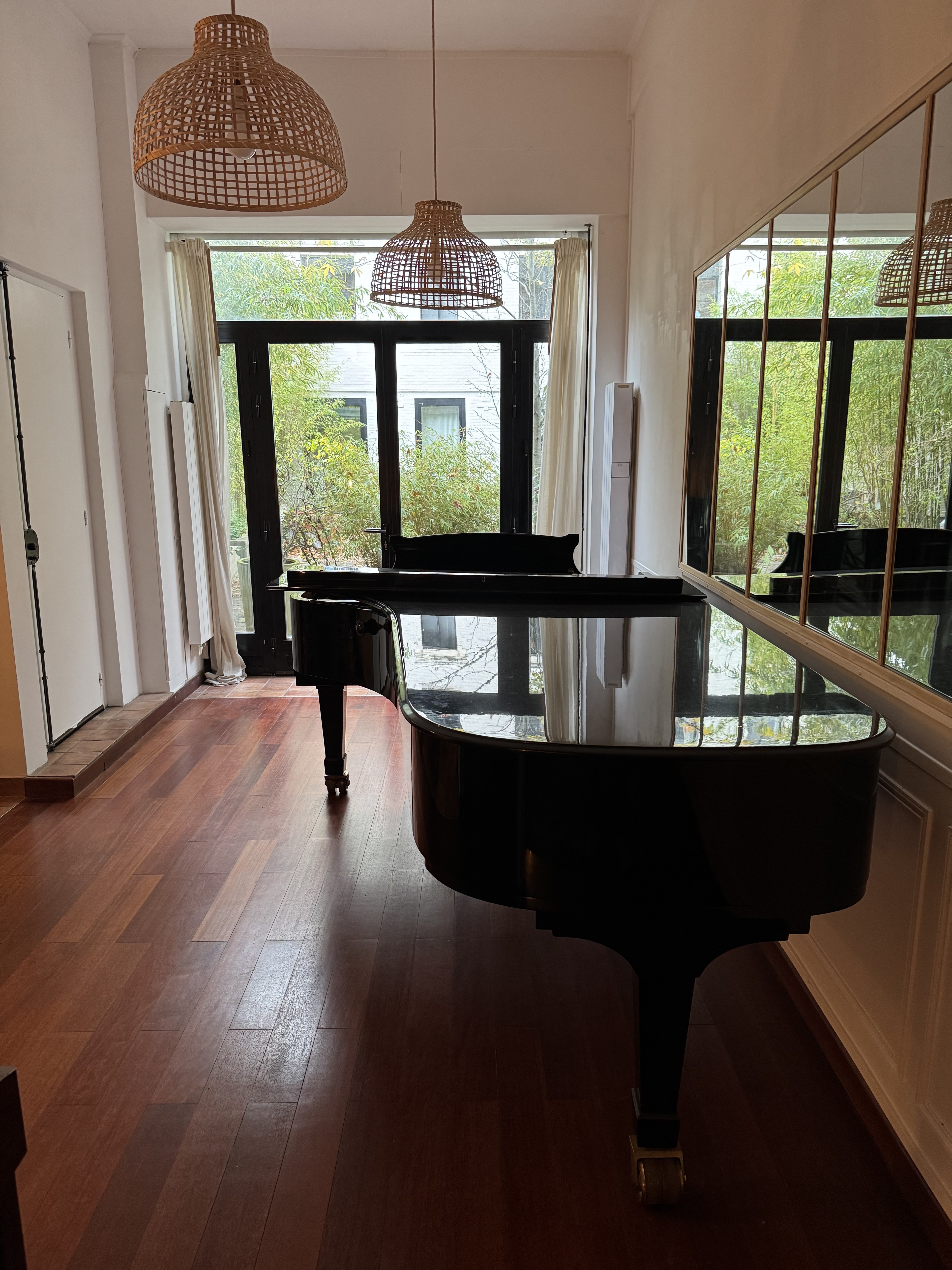 Come use my excellent Steinway D — 写真3
