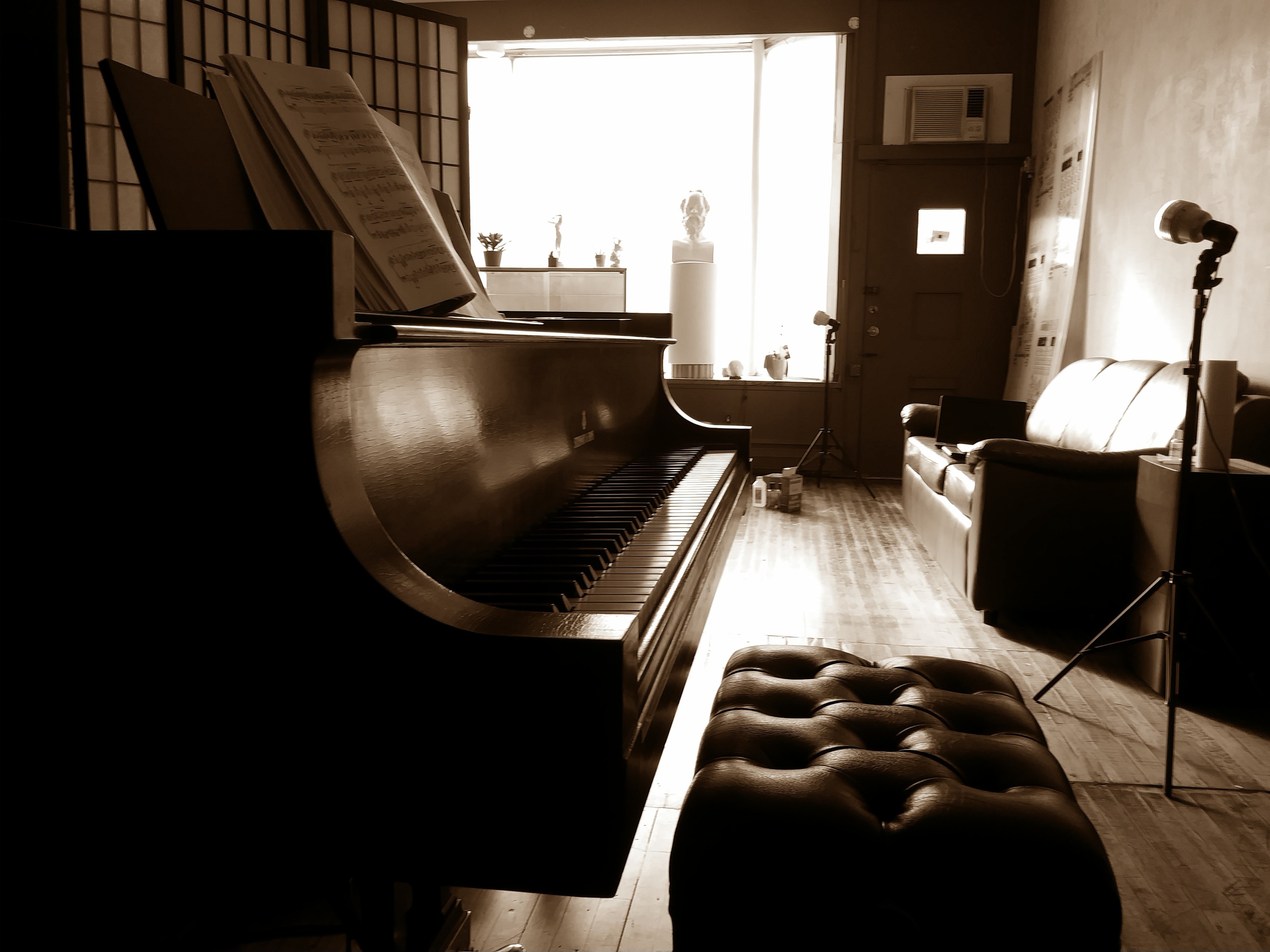 Audiophile Concert Hall and Recording Studio