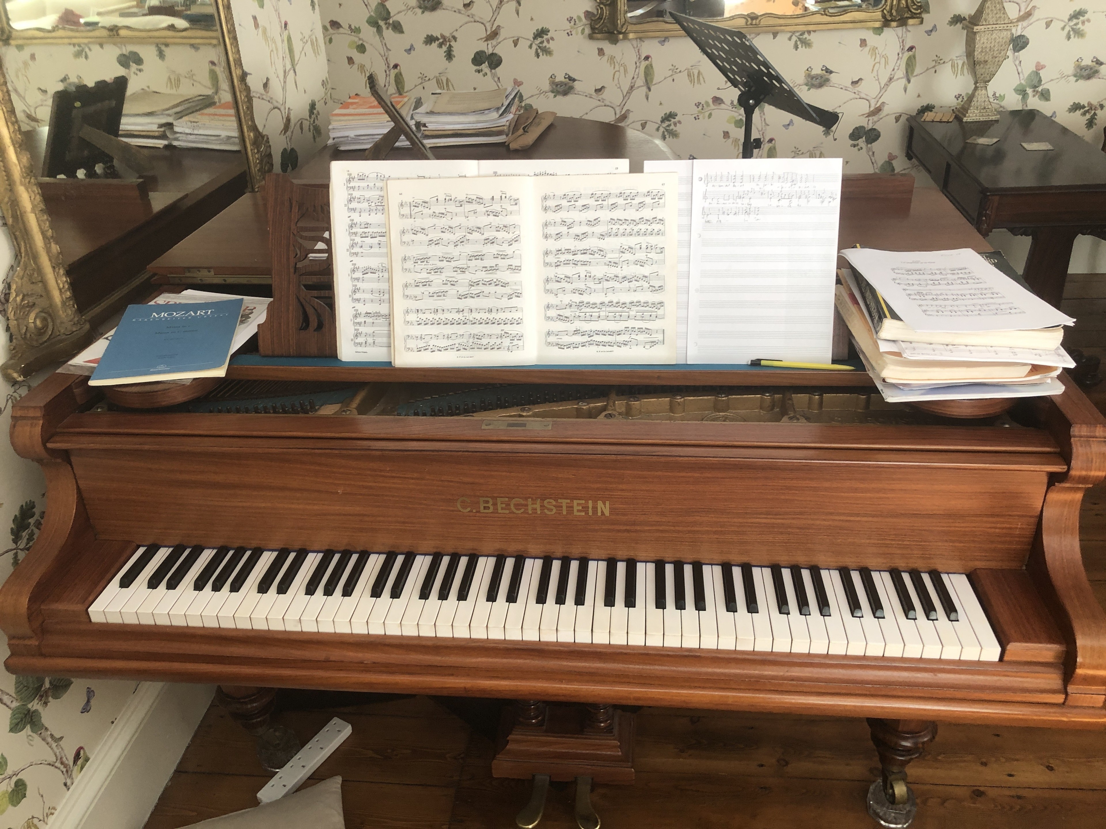 Large victorian music room with grand piano. — photo 2