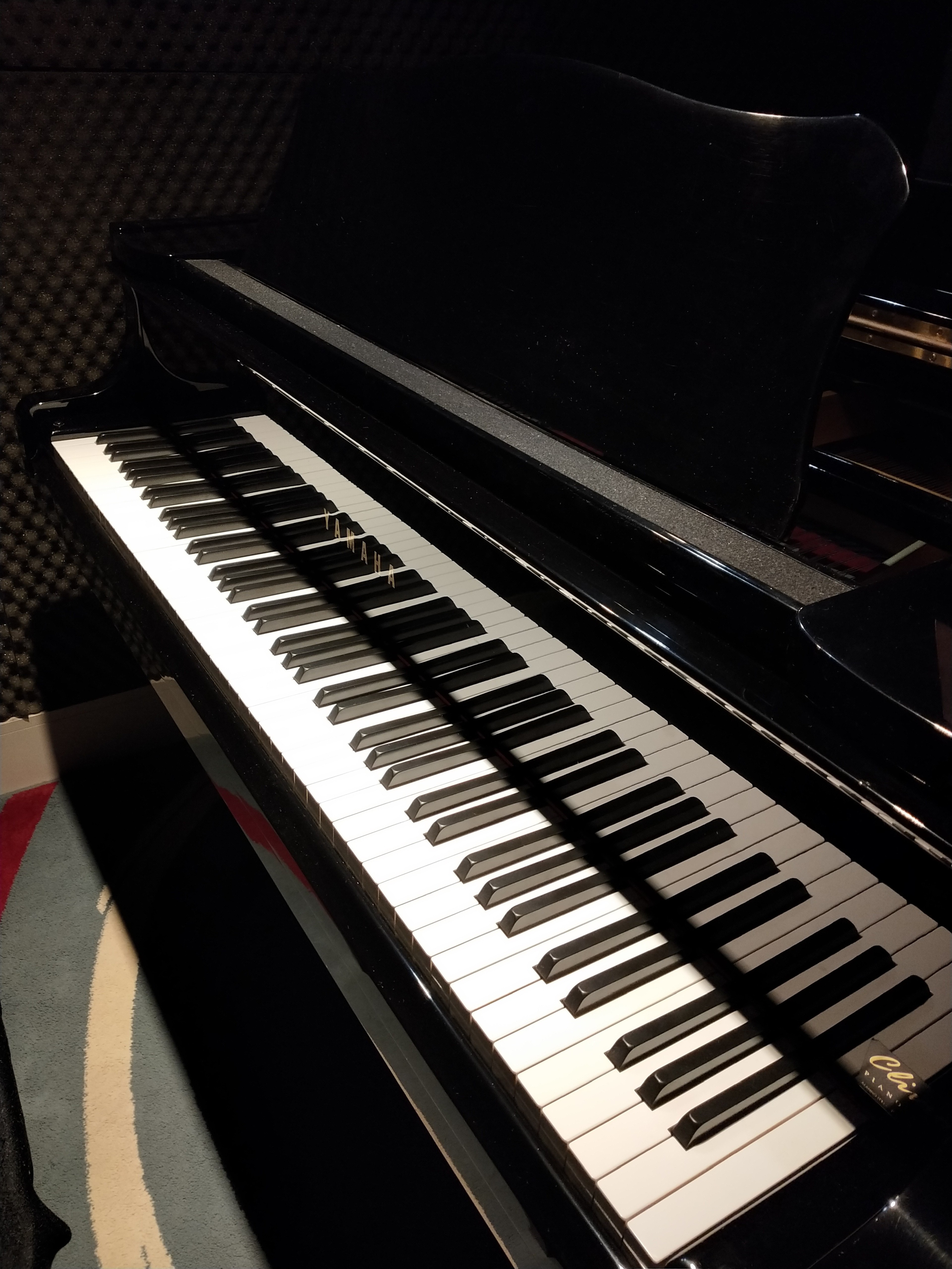 Yamaha C3 Grand Piano in Large Room — photo 3