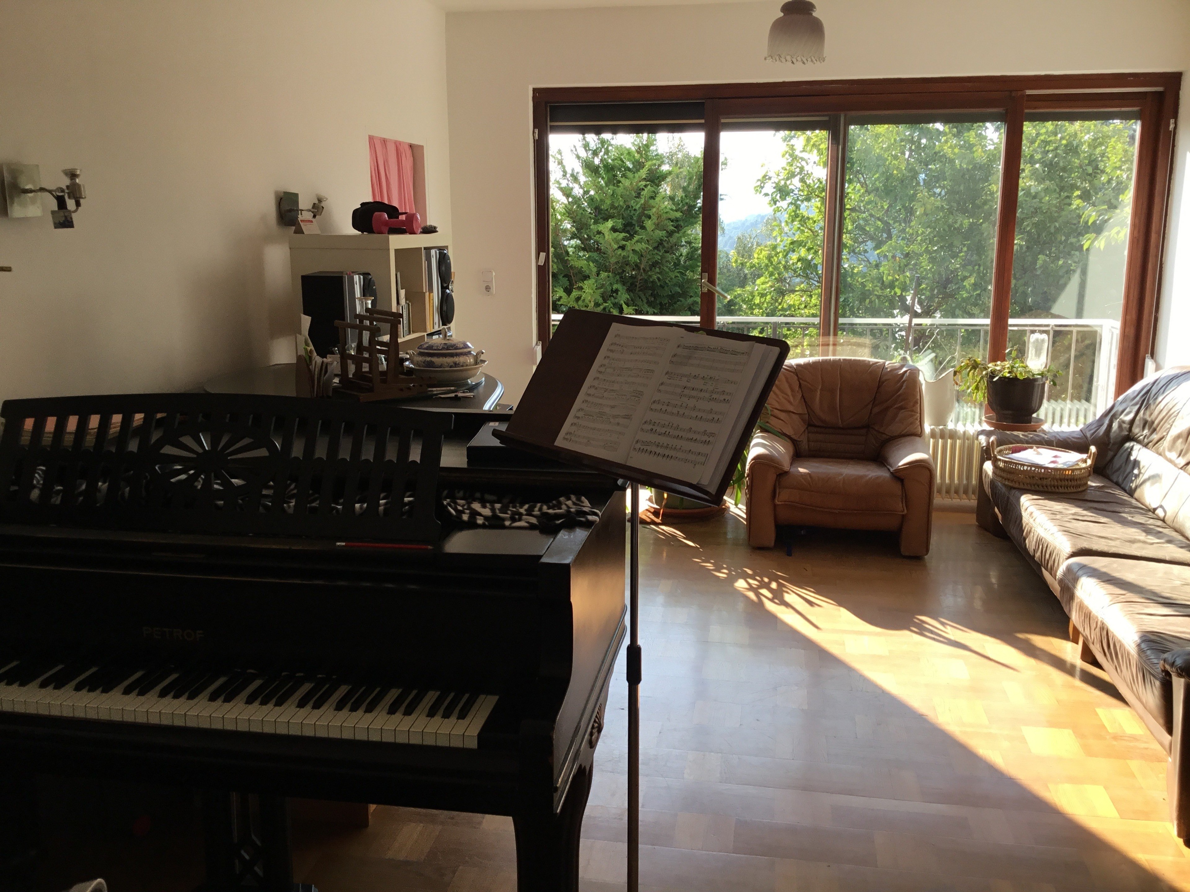 Grand Petroff with beautiful view on Vienna wood — photo 5