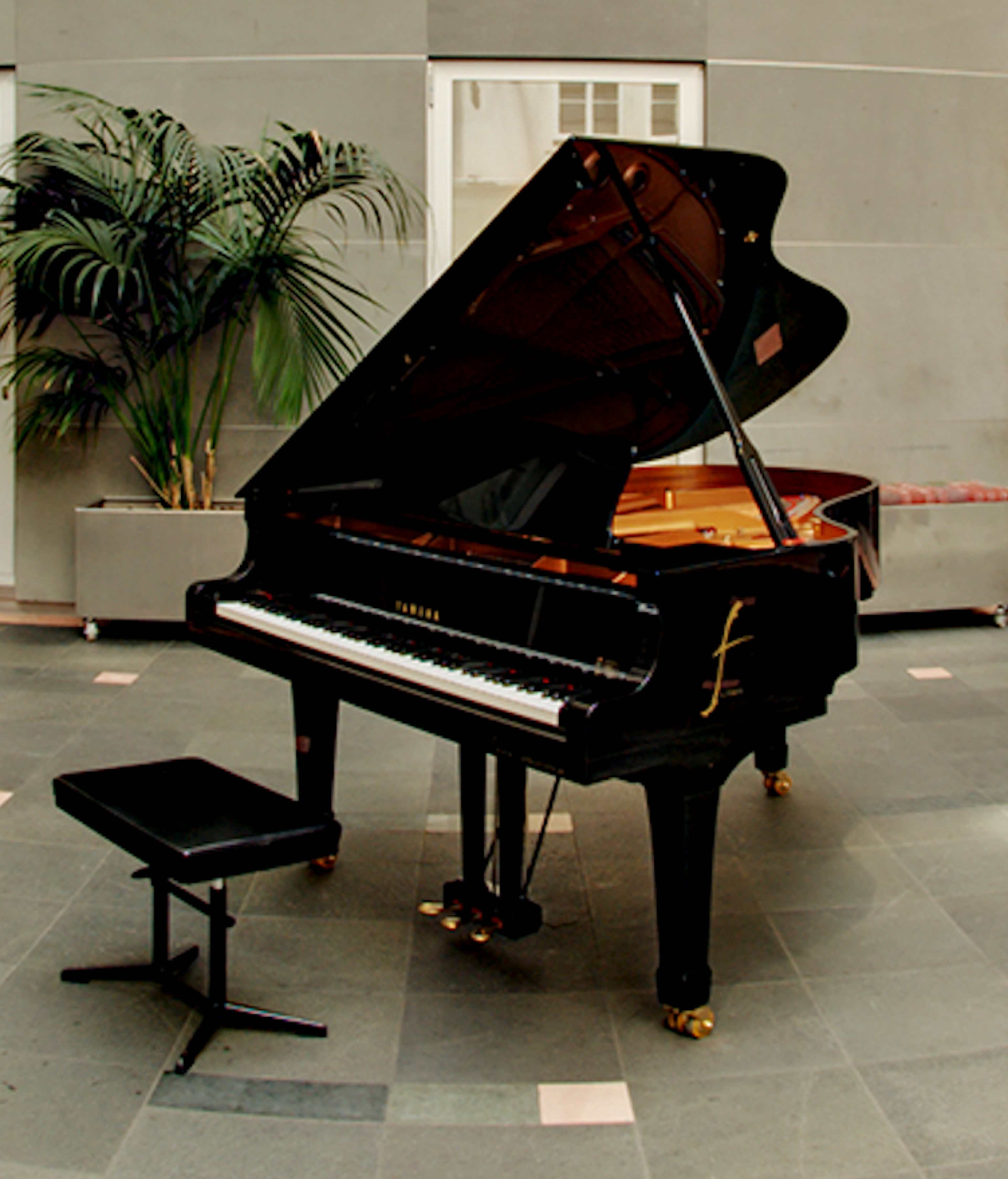 Haus der Musik | House of Music — photo 3