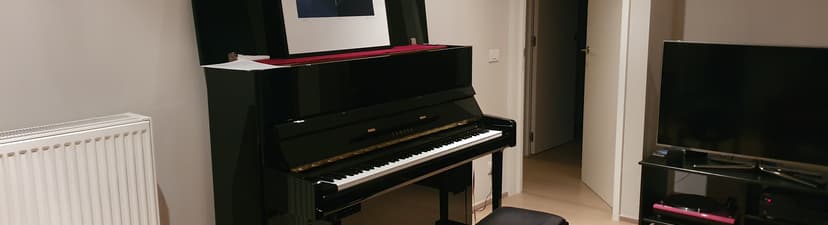 Yamaha B3 in a living room