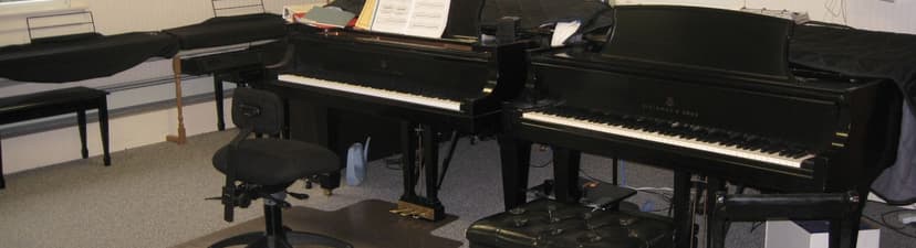 Ellen Johansen Music Studio