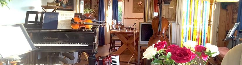 Grand Piano in black forest house