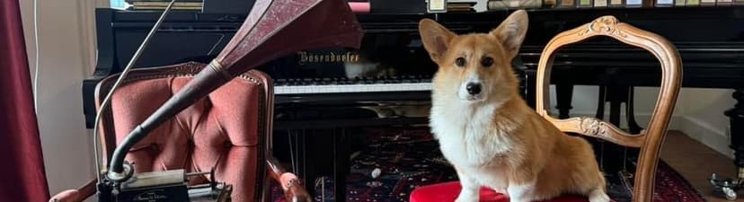 Beautiful studio