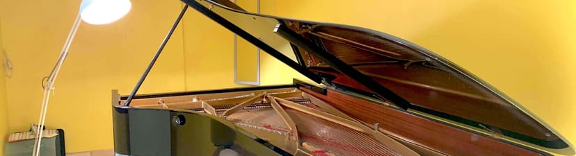 Concert Grand Steinway in a quiet house
