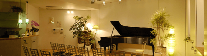 Excellent Music Salon with NY Steinway Model D