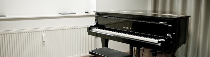 MAXTON studio
